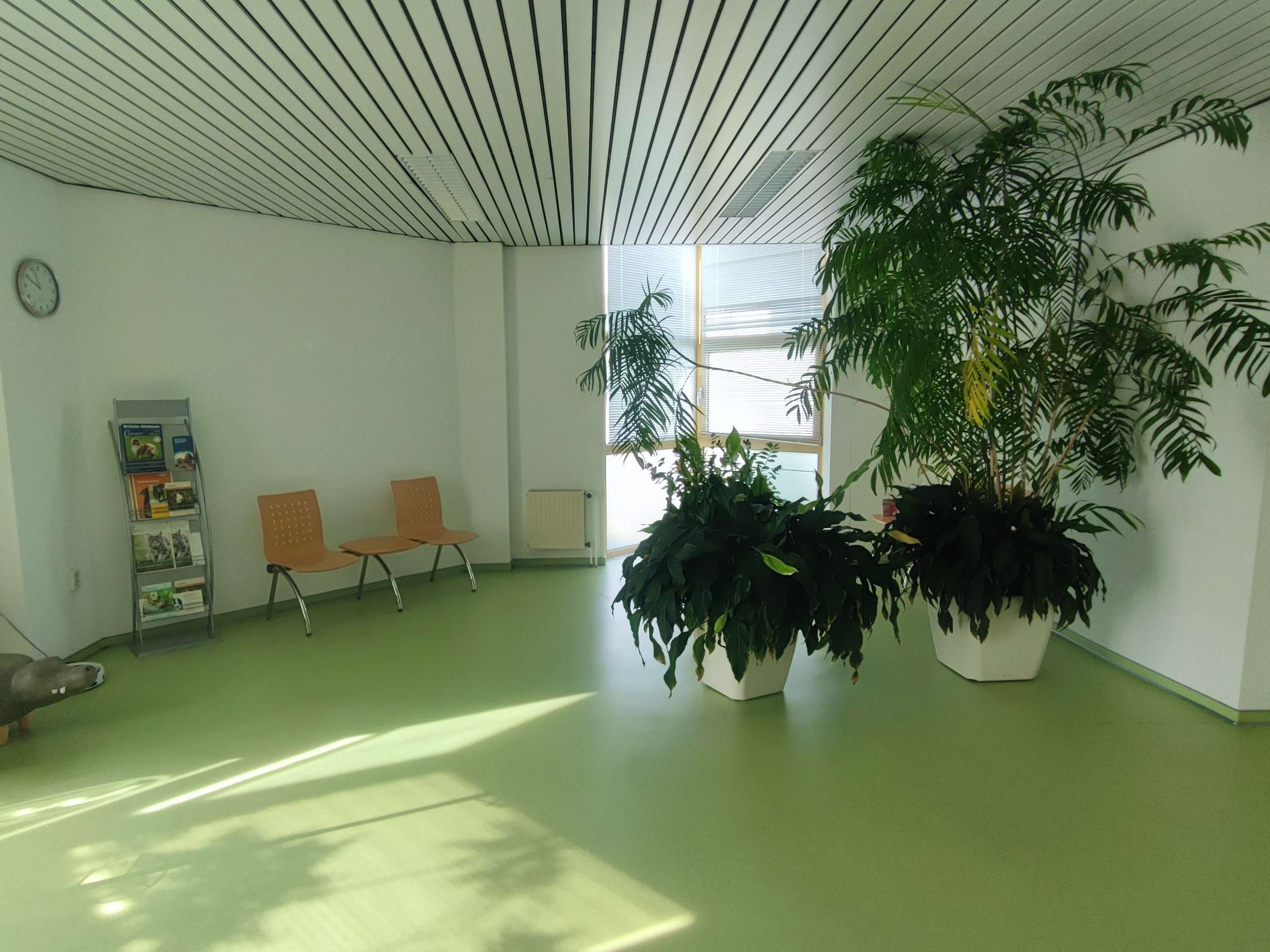 Ansicht 2 von Tierarztpraxis Dr. Kästner