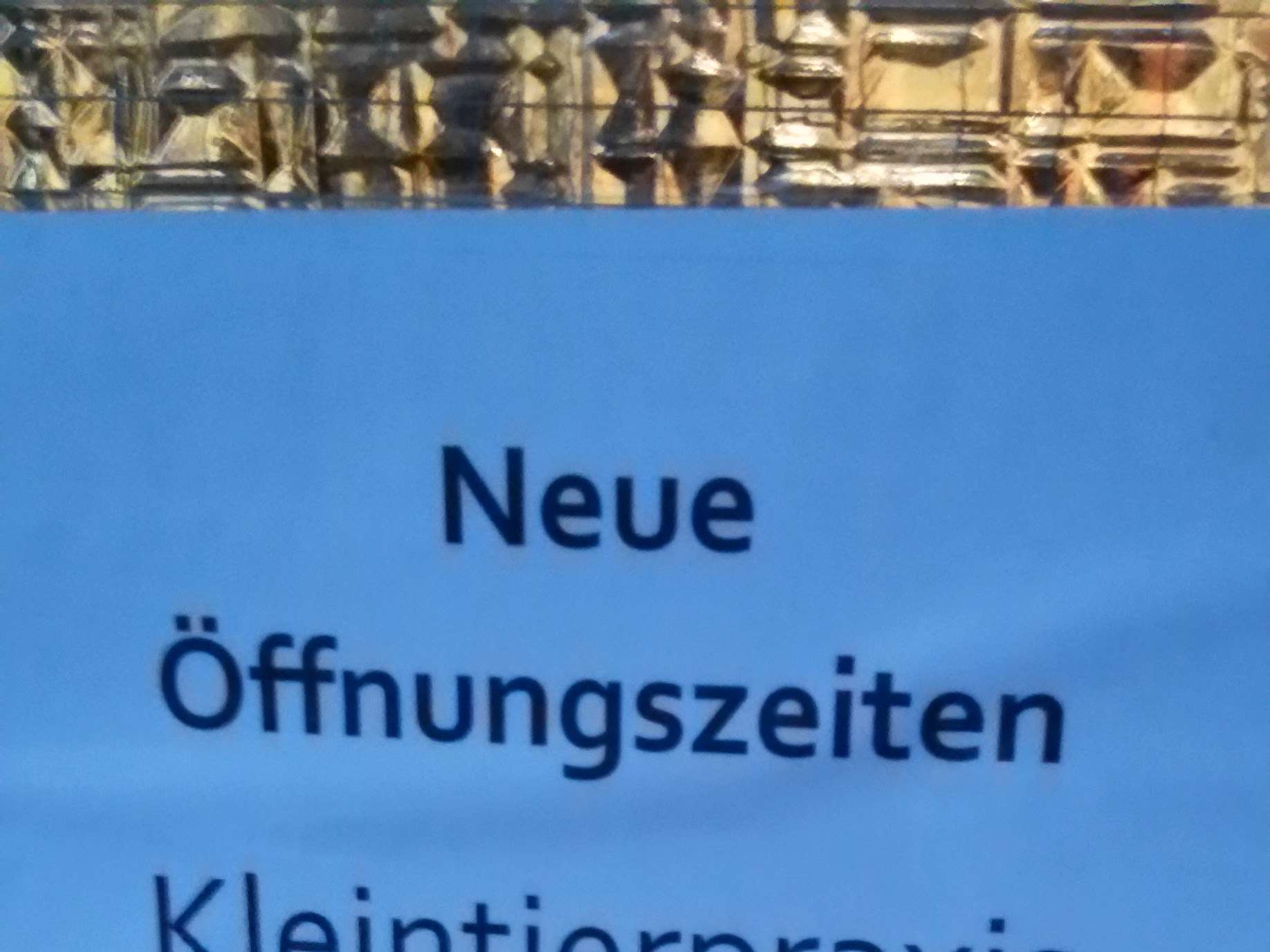 Ansicht 2 von Silvia Nada Bsiso Tierärztin