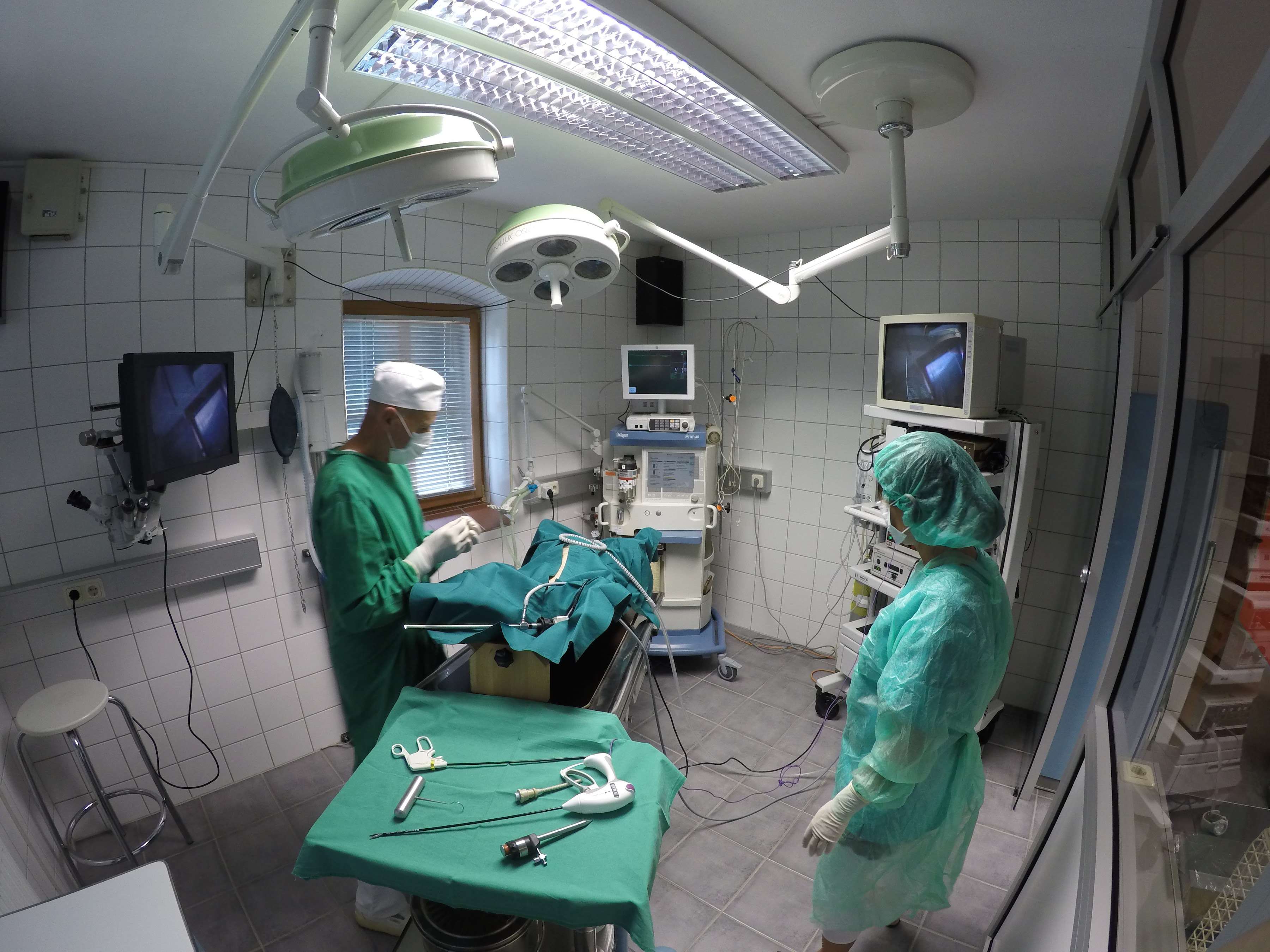 View 3 of Dr. Nikolaus Neumayer