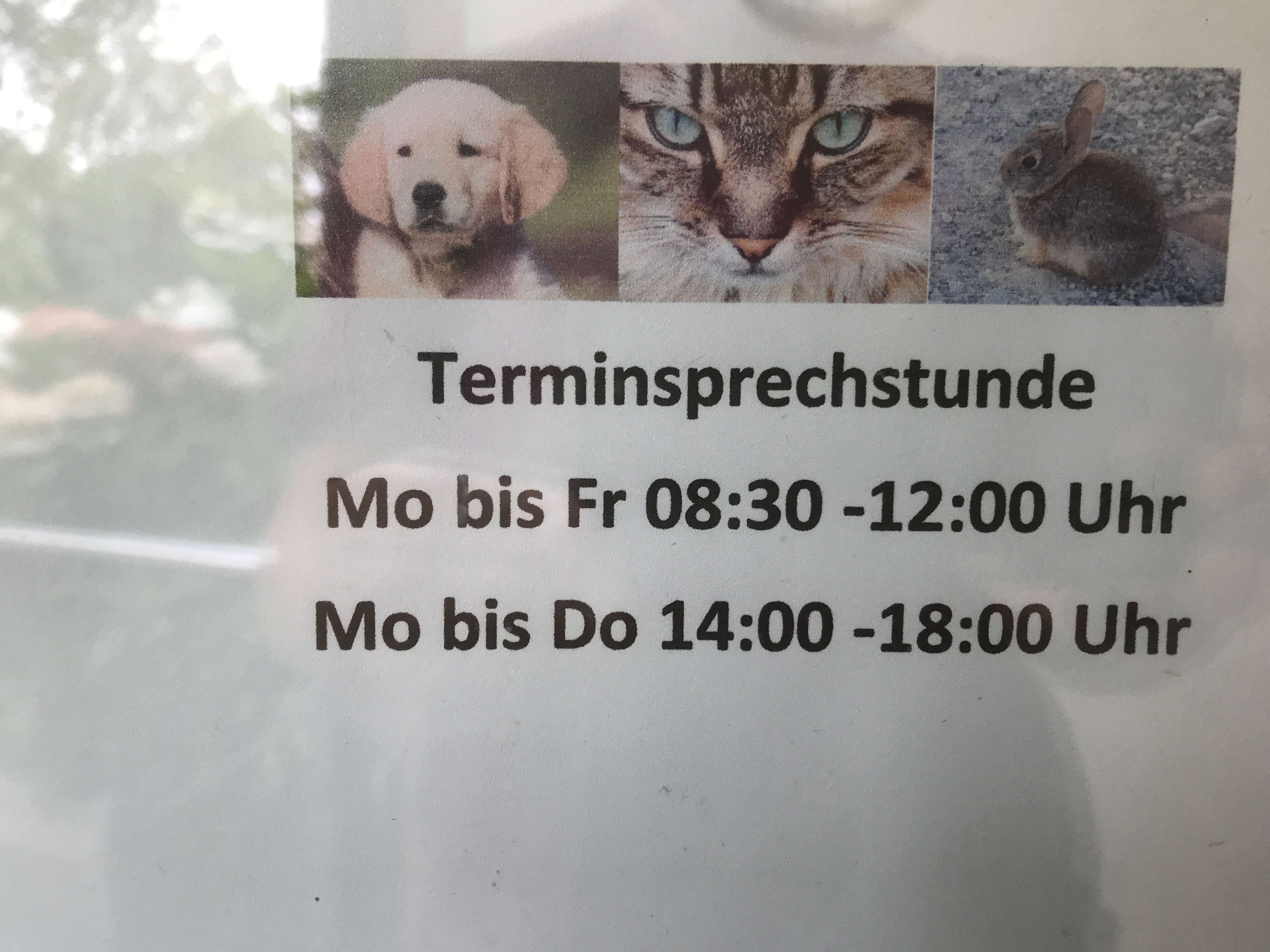 Ansicht 3 von Tierarztpraxis Katrin Freund - Akupunktur & Craniosacrale Osteopathie für Tiere- Schamanische Begleitung für Mensch & Tier