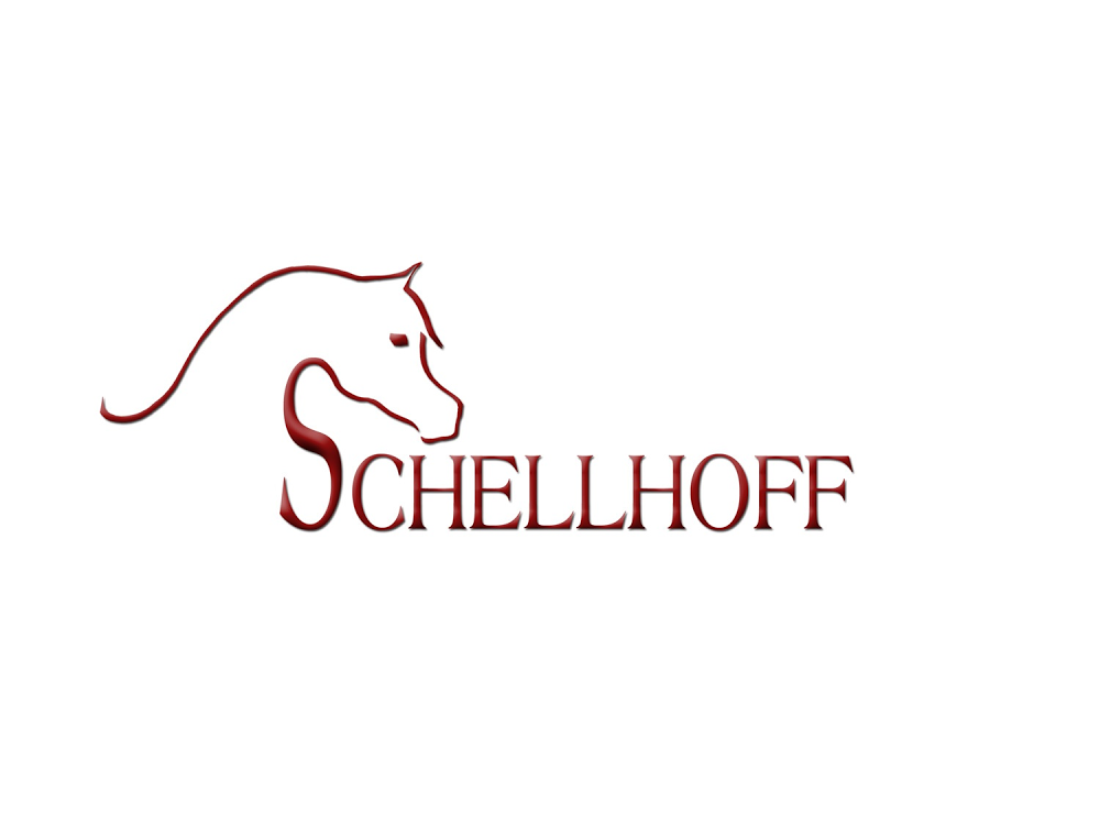 Ansicht 3 von Tierärztliche Praxis für Pferde Dr. Dirk Schellhoff