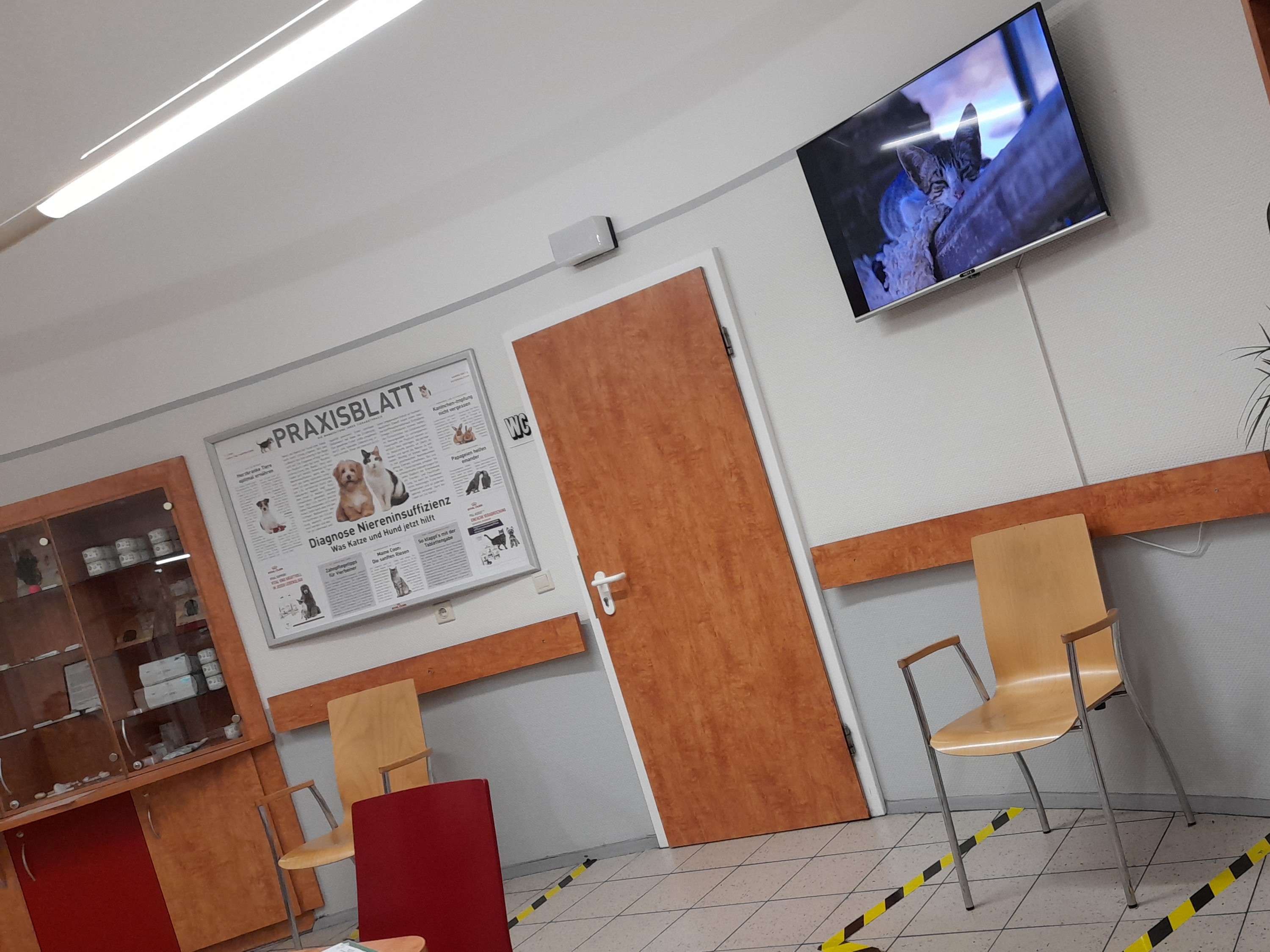 Ansicht 2 von Tierärztliche Klinik für Klein- und Heimtiere