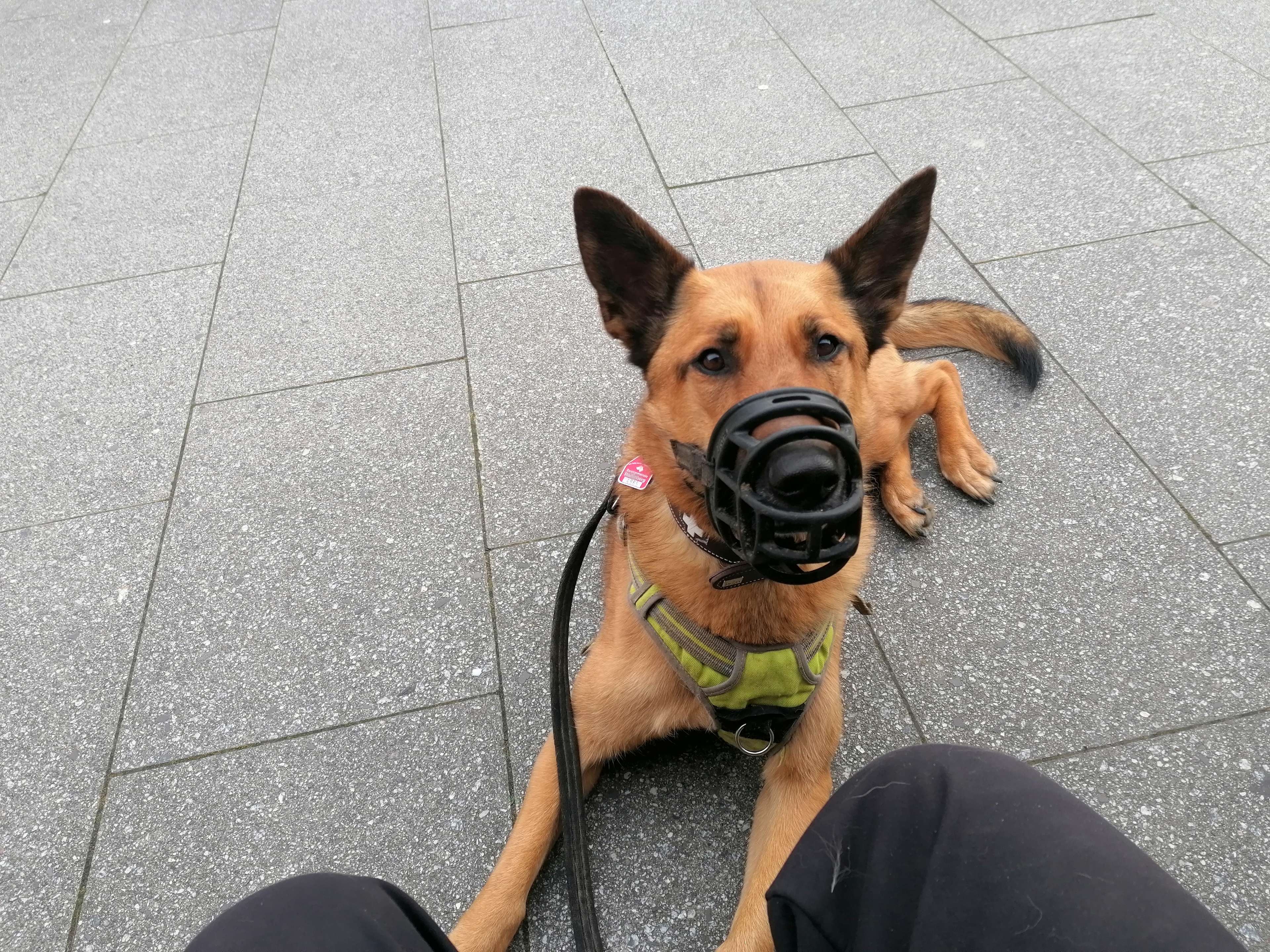Ansicht 1 von Tierärztliche Praxis für Kleintierverhalten