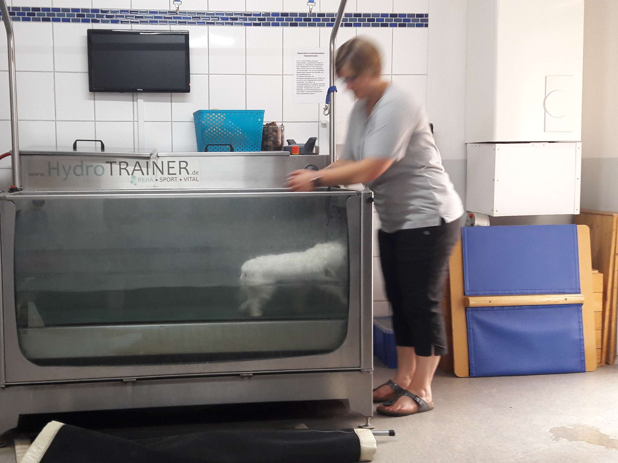 Ansicht 1 von Tierisch Vital Tierphysiotherapie - Lisa Keller