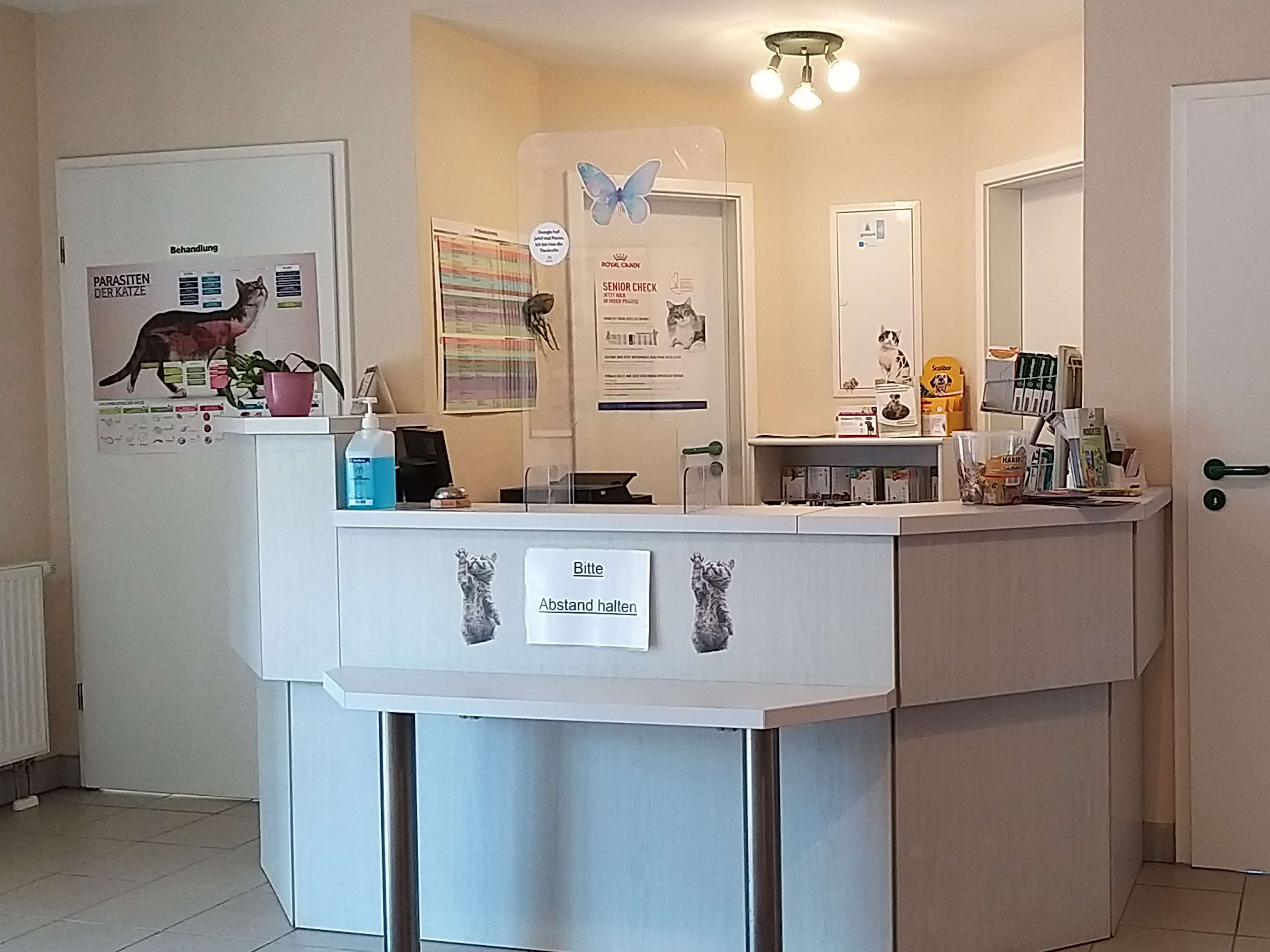 View 1 of Tierarztpraxis Dr. Katrin Wilhelm / Tierphysiotherapie