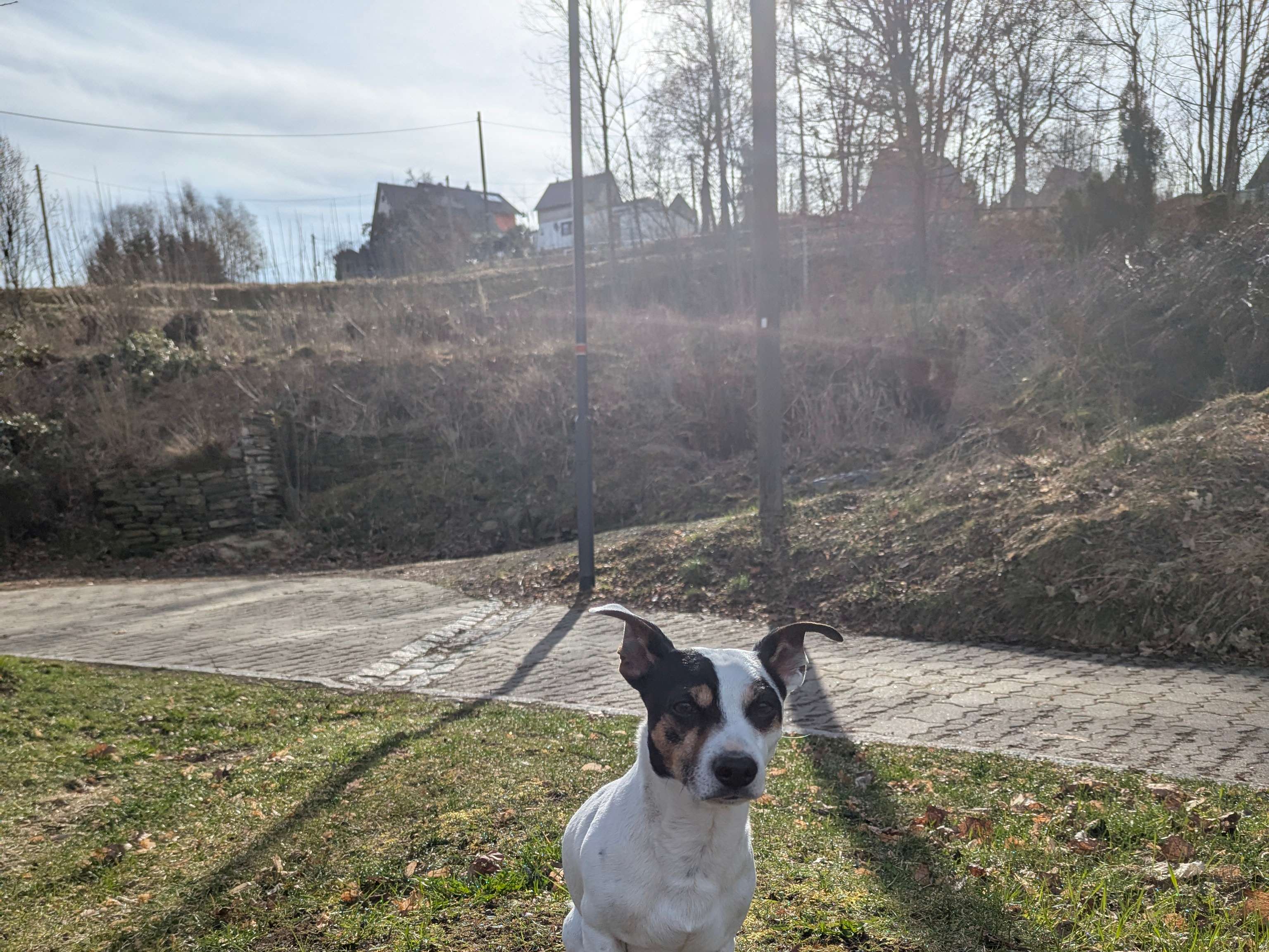 Ansicht 2 von Tierarztpraxis Zieboll