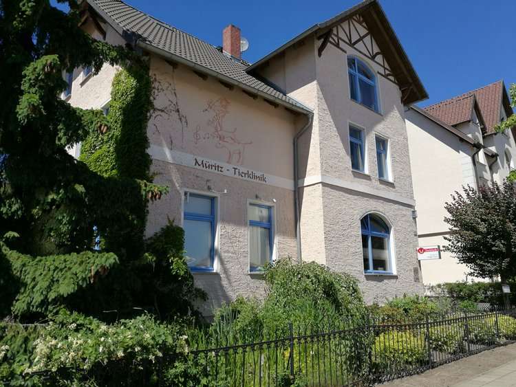 Ansicht 1 von Müritz-Tierklinik Tierärzte IVC Evidensia GmbH