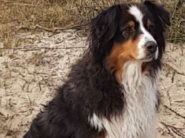 Ansicht 3 von Tierärztliche Praxis für Kleintiere