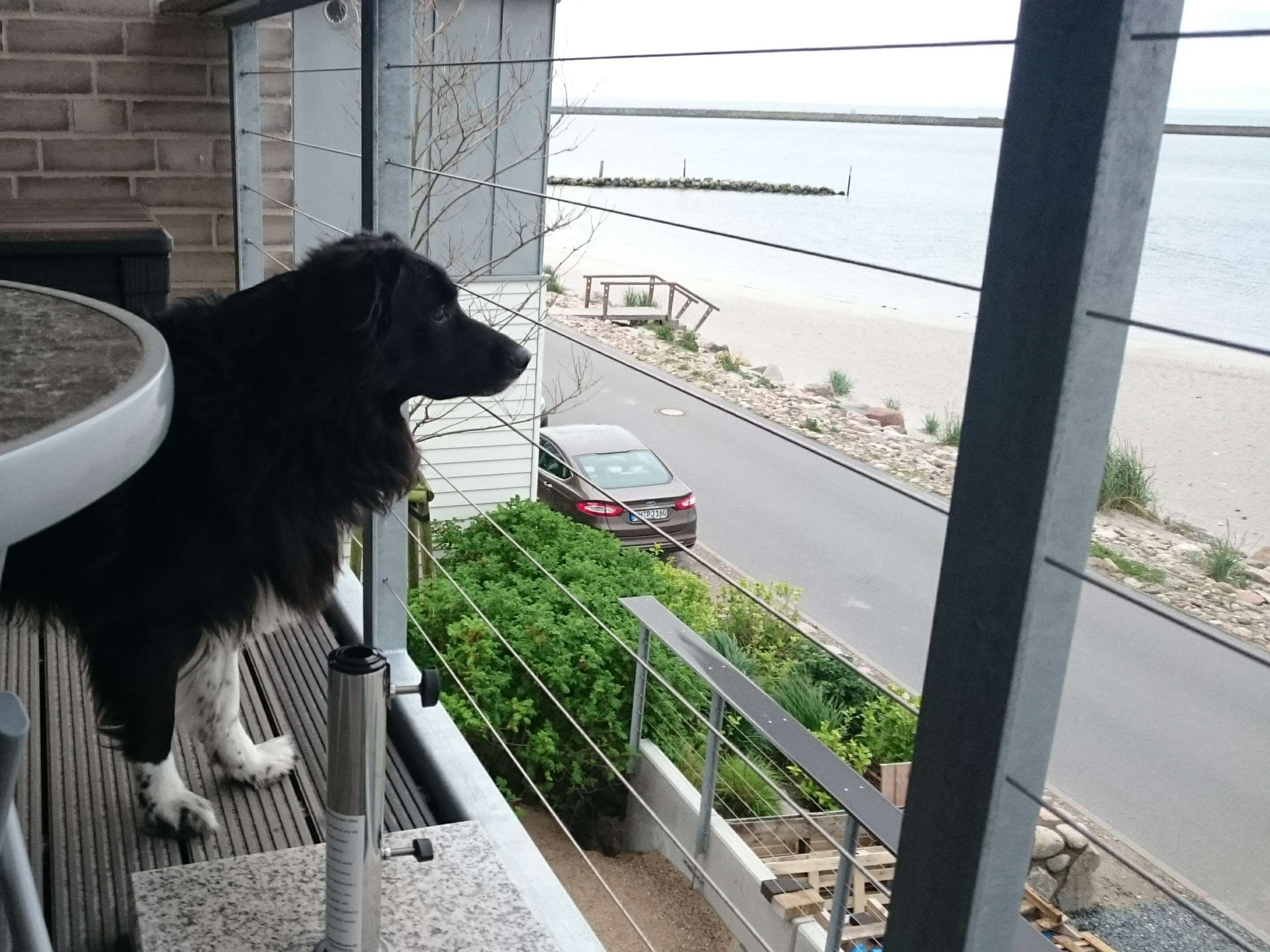 Ansicht 1 von Dr.med.vet. Anja Neumann