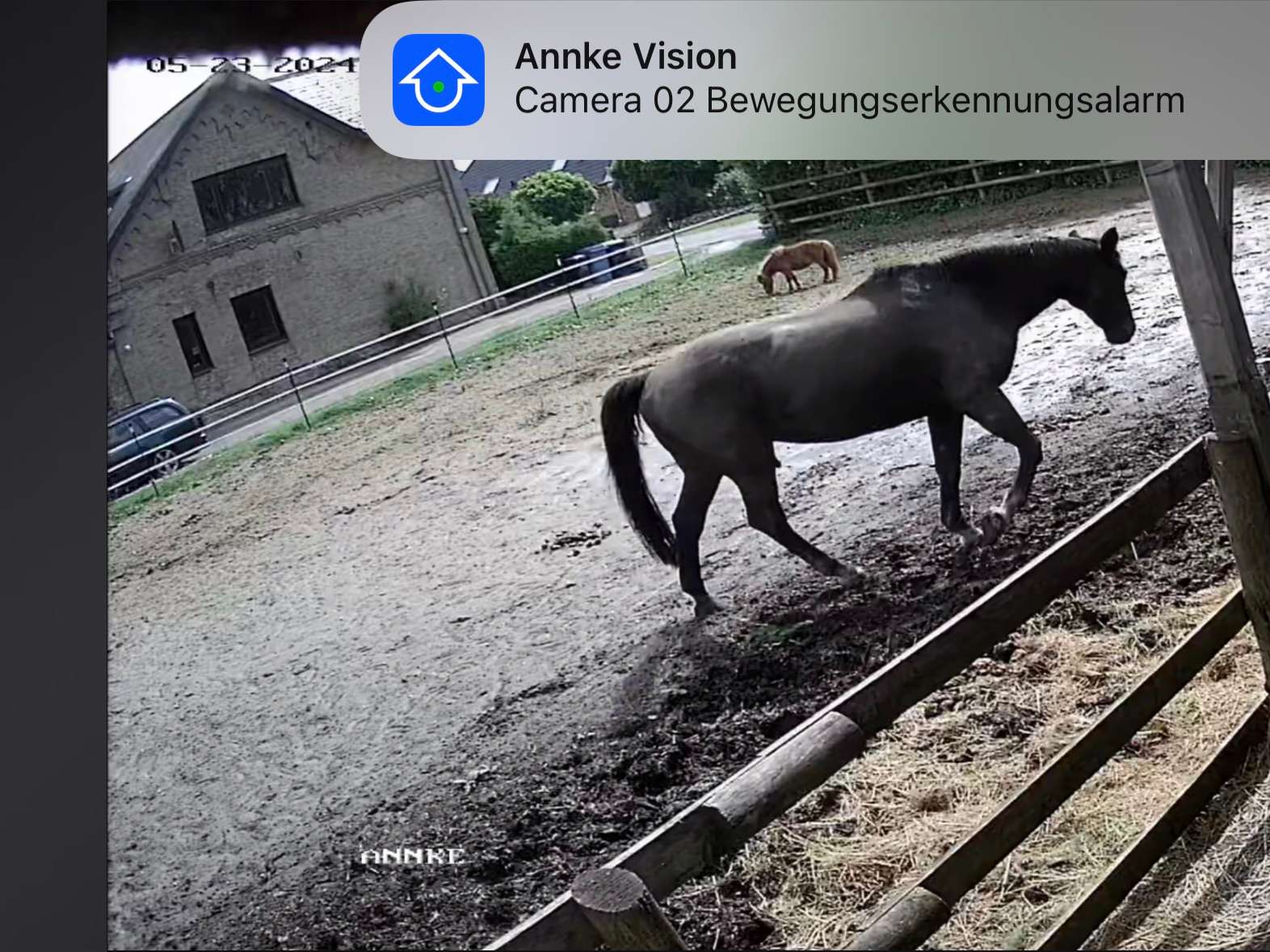 Ansicht 2 von Tierärztliche Praxis für Pferde Gerret Bruhn