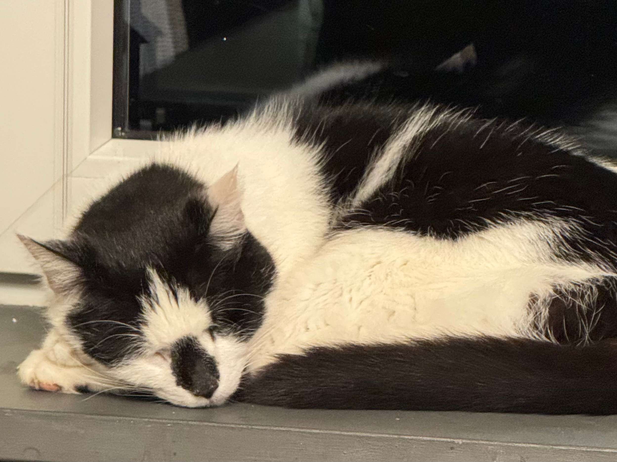 View 1 of Kopplin-Körner