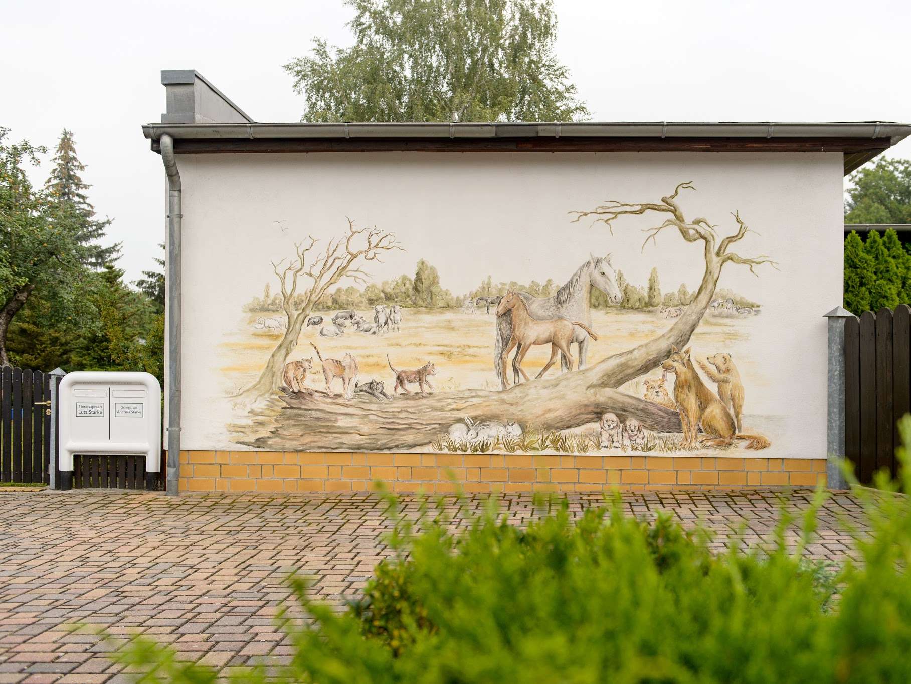View 1 of Dr. med. vet. Andreas Starke