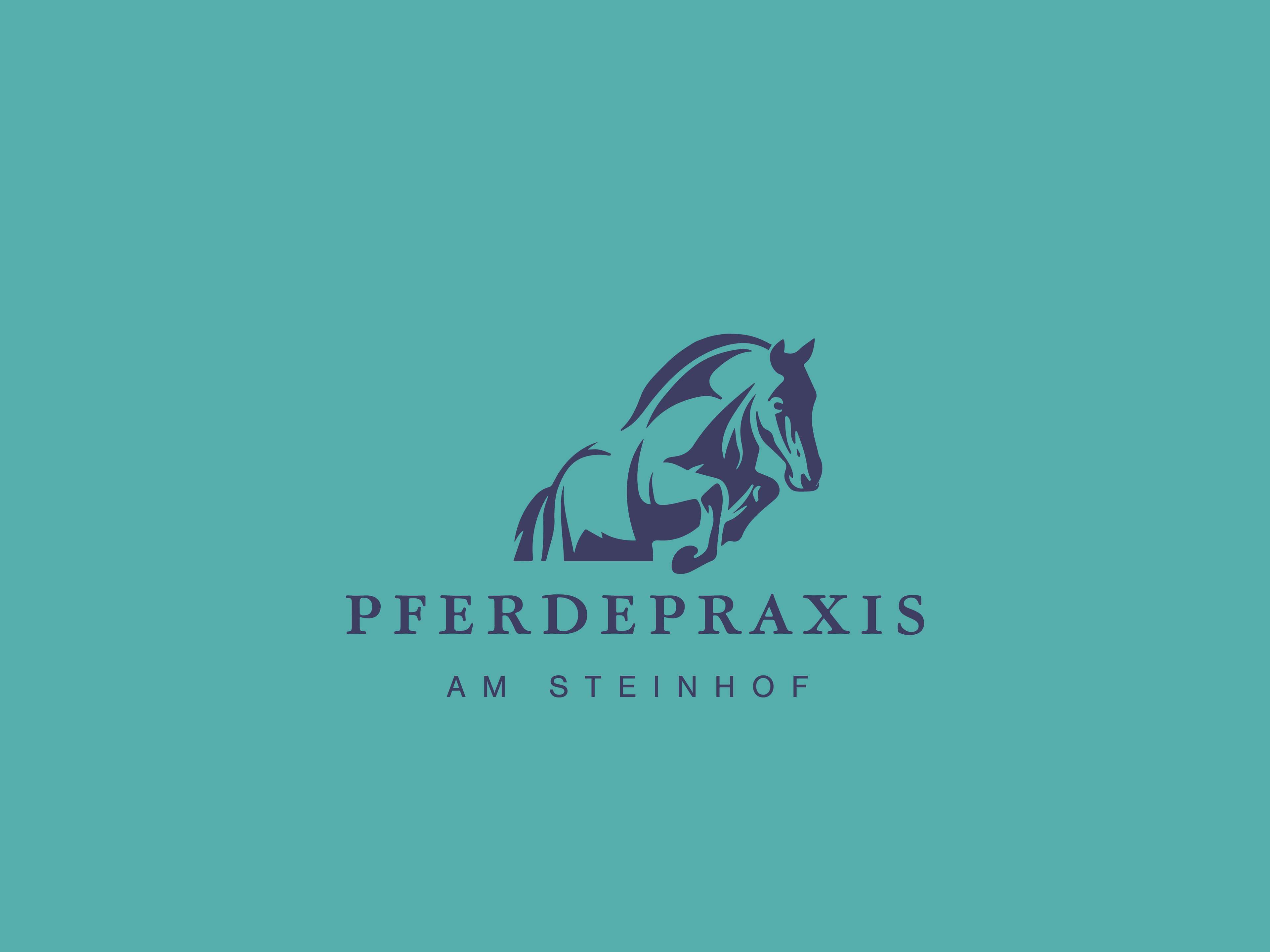 Ansicht 1 von Pferdepraxis am Steinhof (TÄ Dr. Christina Röhr)