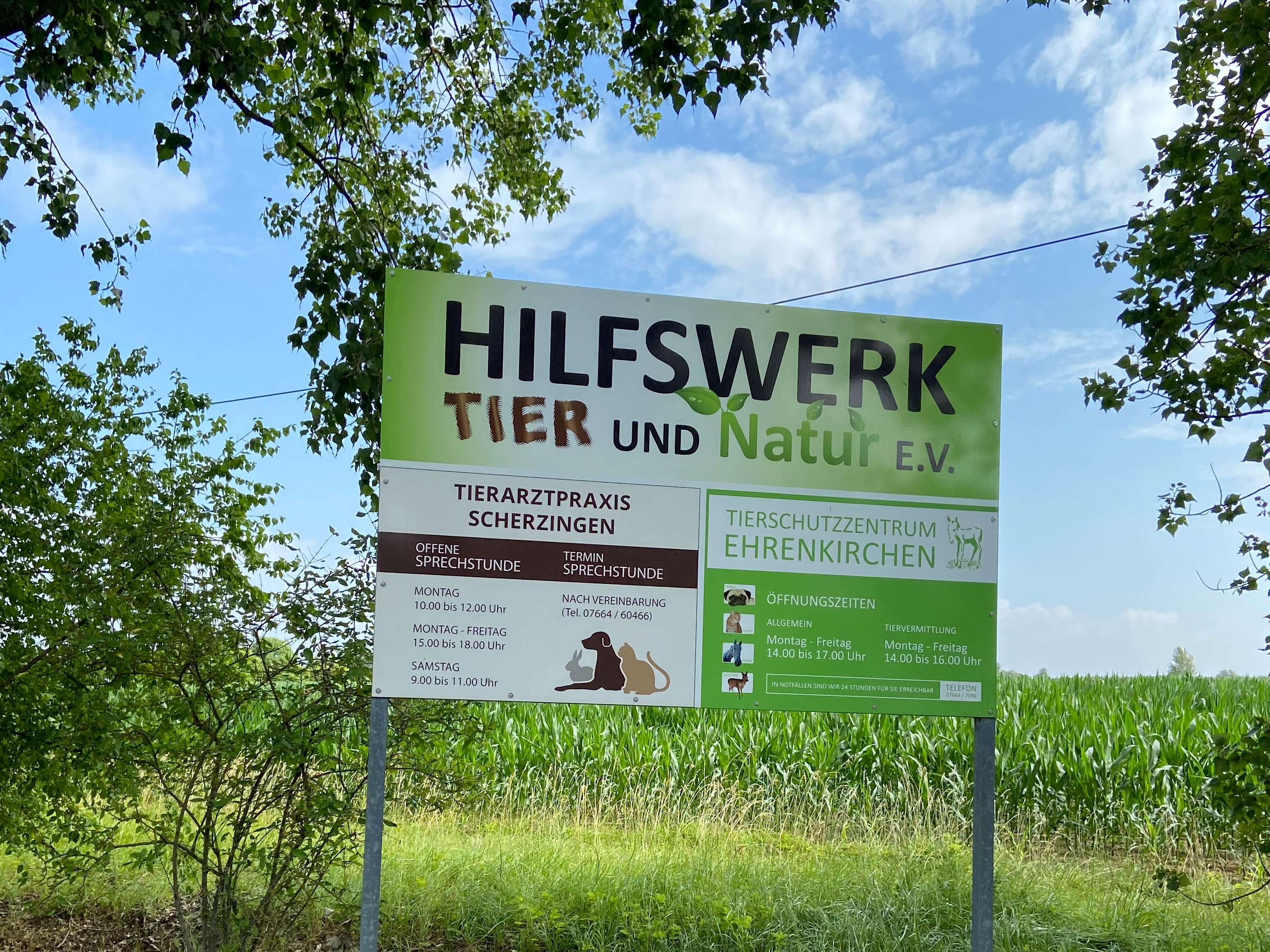 Ansicht 1 von Tierarztpraxis Scherzingen