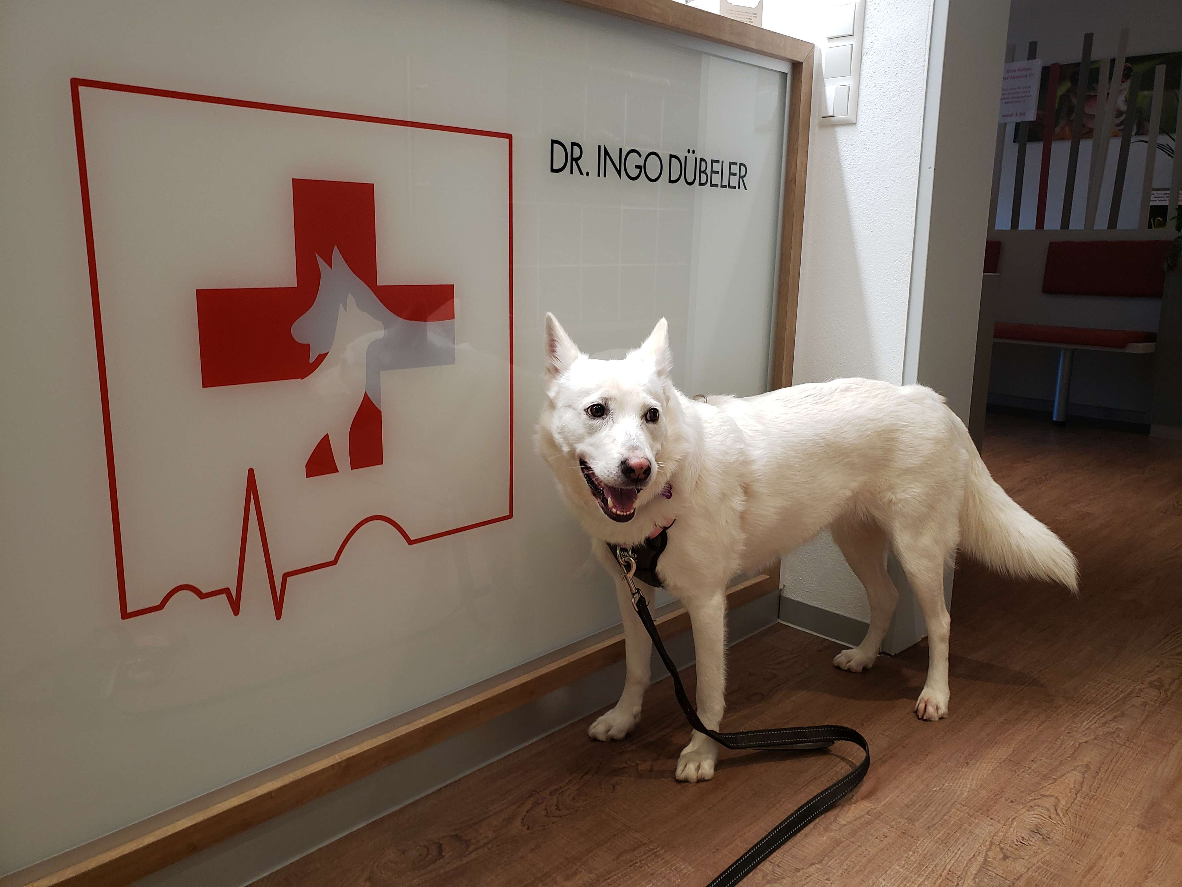 Ansicht 2 von Dr. Ingo Dübeler