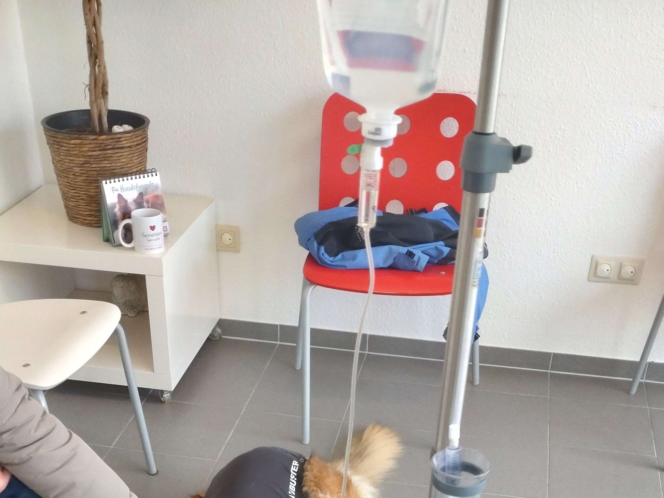Ansicht 1 von Tierarzt Nadja Plum