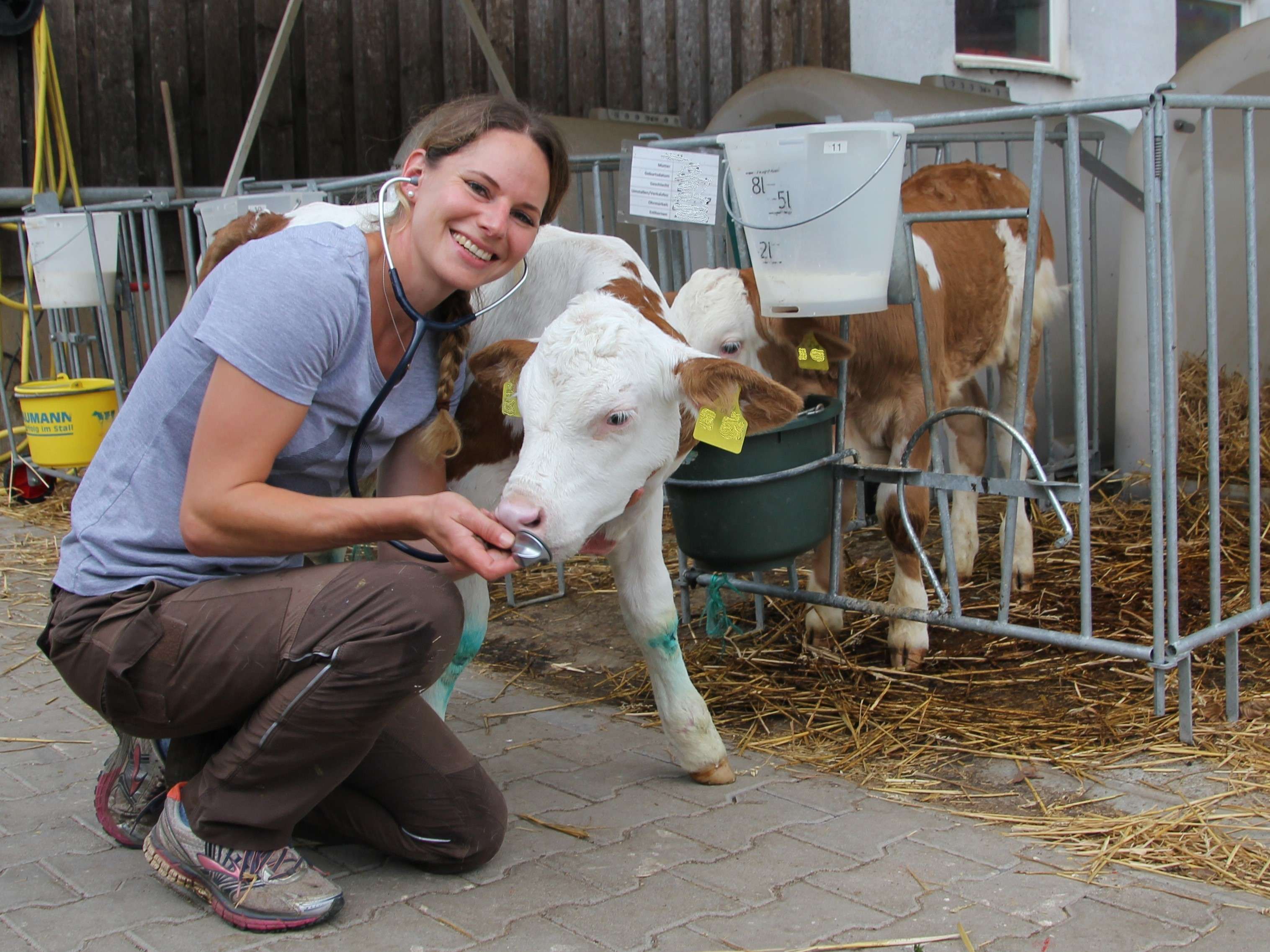 Ansicht 1 von Tierarztpraxis Nina Siegmund für Rinder & kleine Wiederkäuer