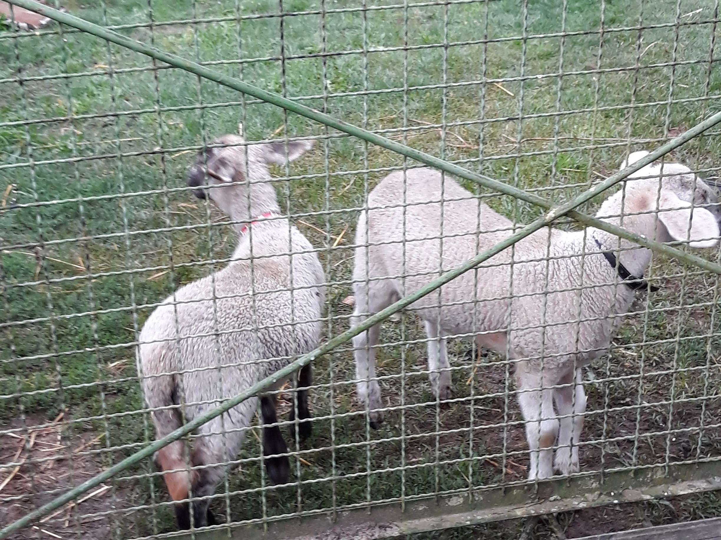 Ansicht 3 von Carsten Löffelholz Tierarzt