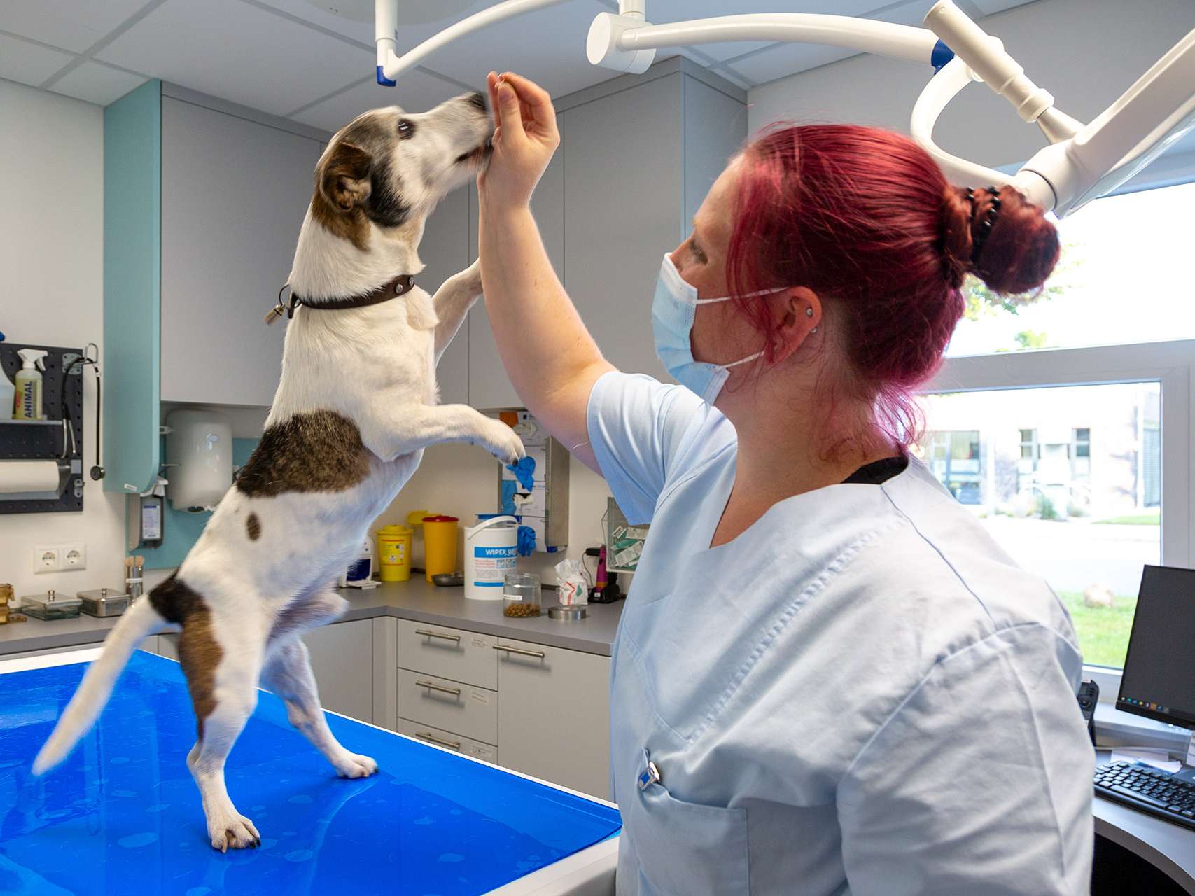 Ansicht 2 von Tierklinik Neustädter Bucht