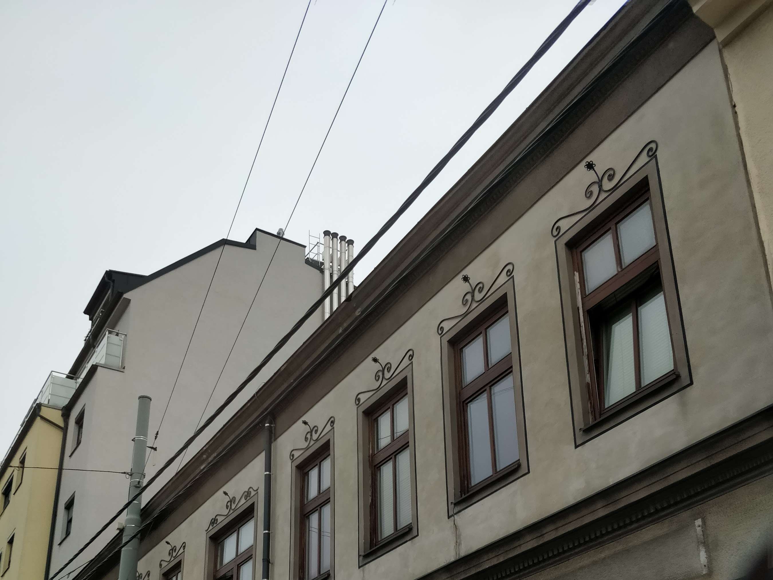 Ansicht 1 von Zahn Tierarztpraxis Dr. MAHR