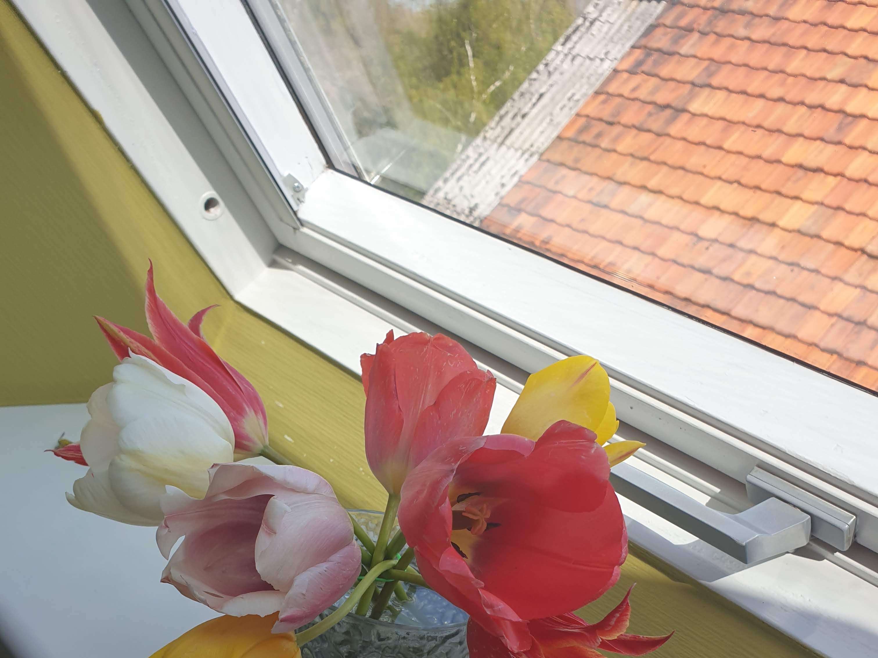 View 1 of Tierärztliche Praxis für Pferde Stefanie Süß