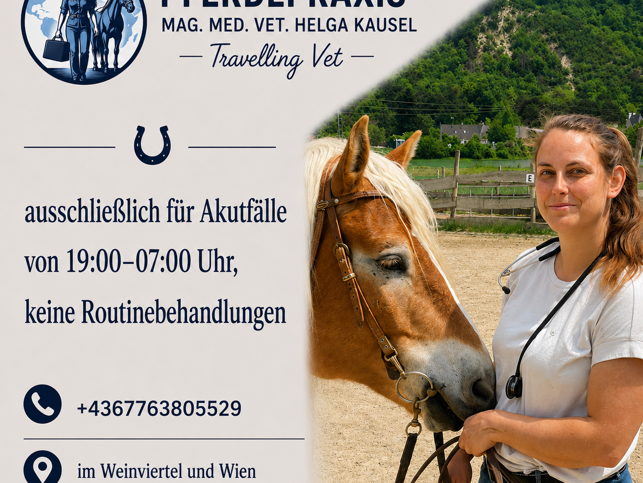 Ansicht 3 von Pferdepraxis Mag. vet. med. Helga Kausel