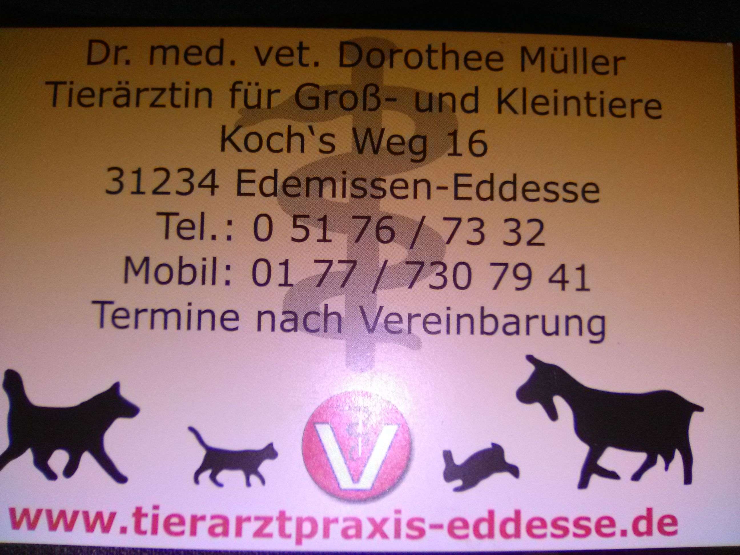 Ansicht 1 von Eddesse