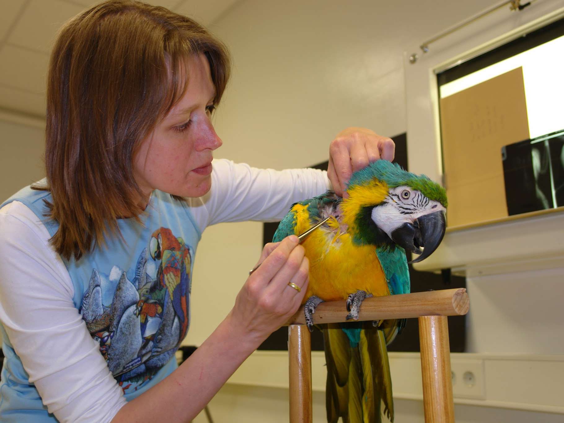 Ansicht 1 von Tierärztliche Fachpraxis für Vögel & Exoten Dr. med. vet. Heike Reball