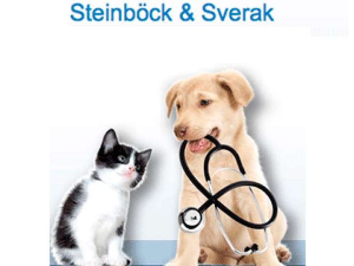 Ansicht 3 von Steinböck & Sverak Tierärztegemeinschaft OEG