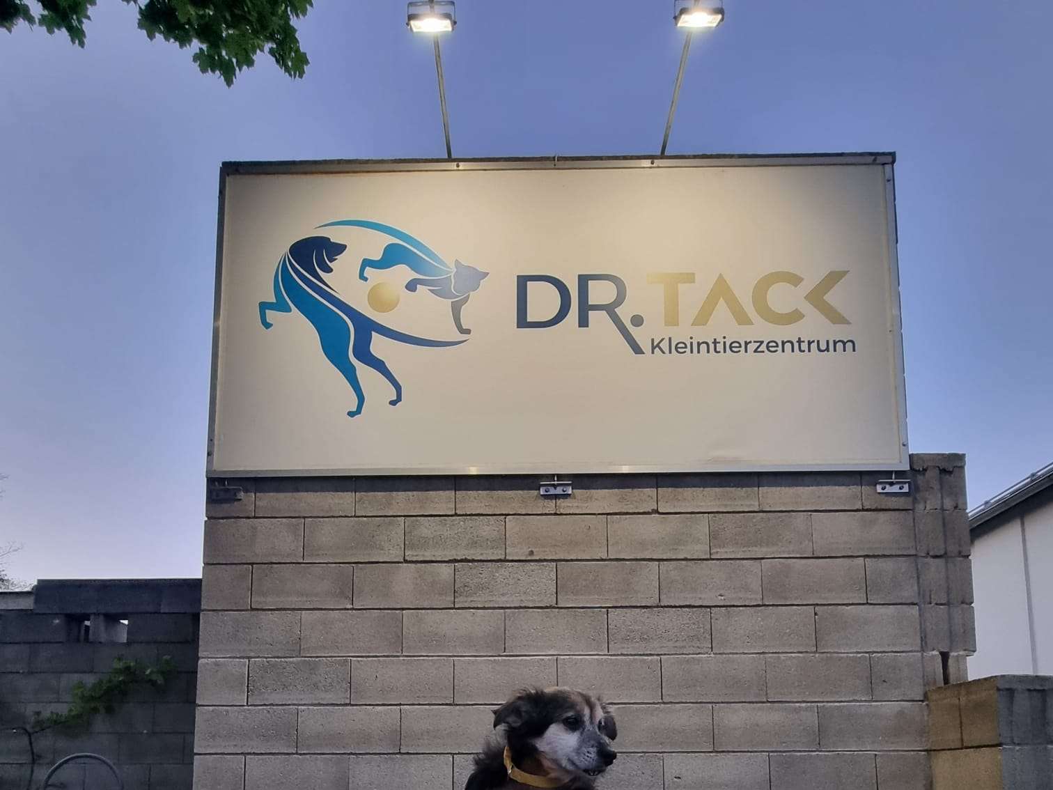 View 3 of Dr. TACK Fachtierarztzentrum Tack GmbH