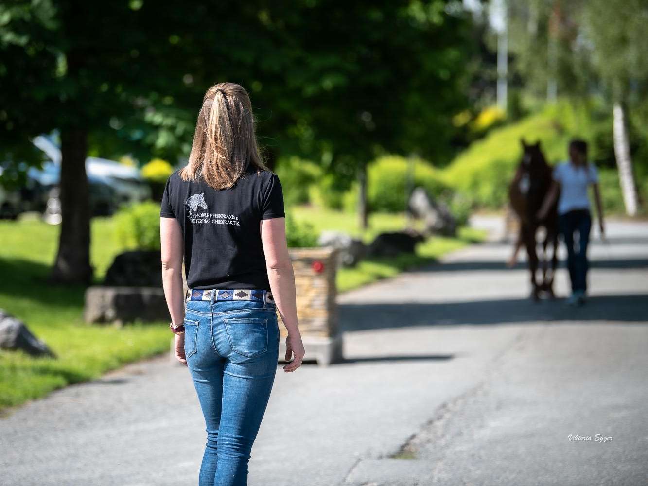 Ansicht 3 von Pferdetierarzt Elisabeth Hagsteiner - Kirchdorf in Tirol