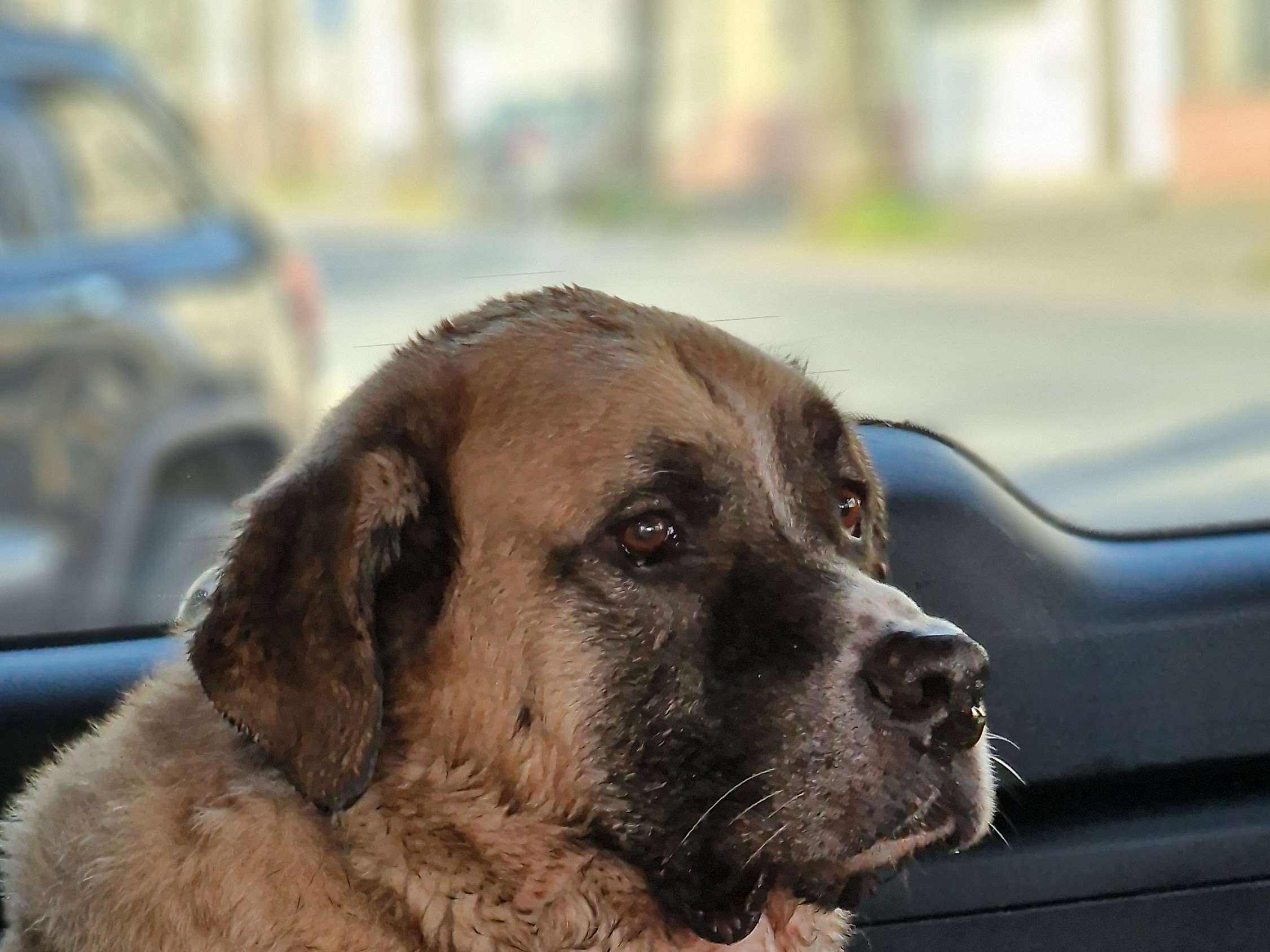 Ansicht 3 von Dr.med.vet. H.D. Bertelsmann