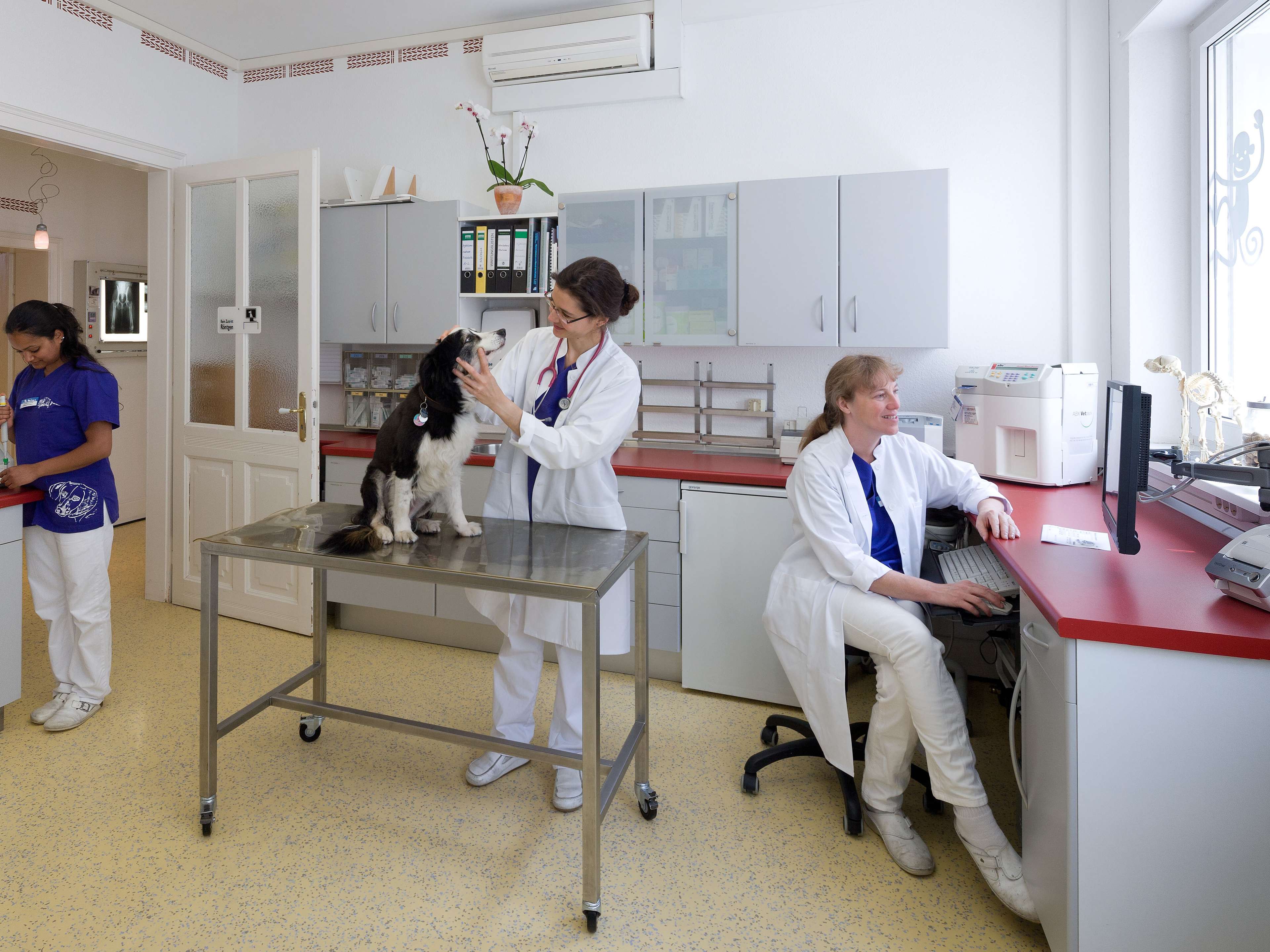 Ansicht 3 von Tierarzt Höch Frankfurt Eckenheim, Tierarztpraxis Dr. Maike Höch
