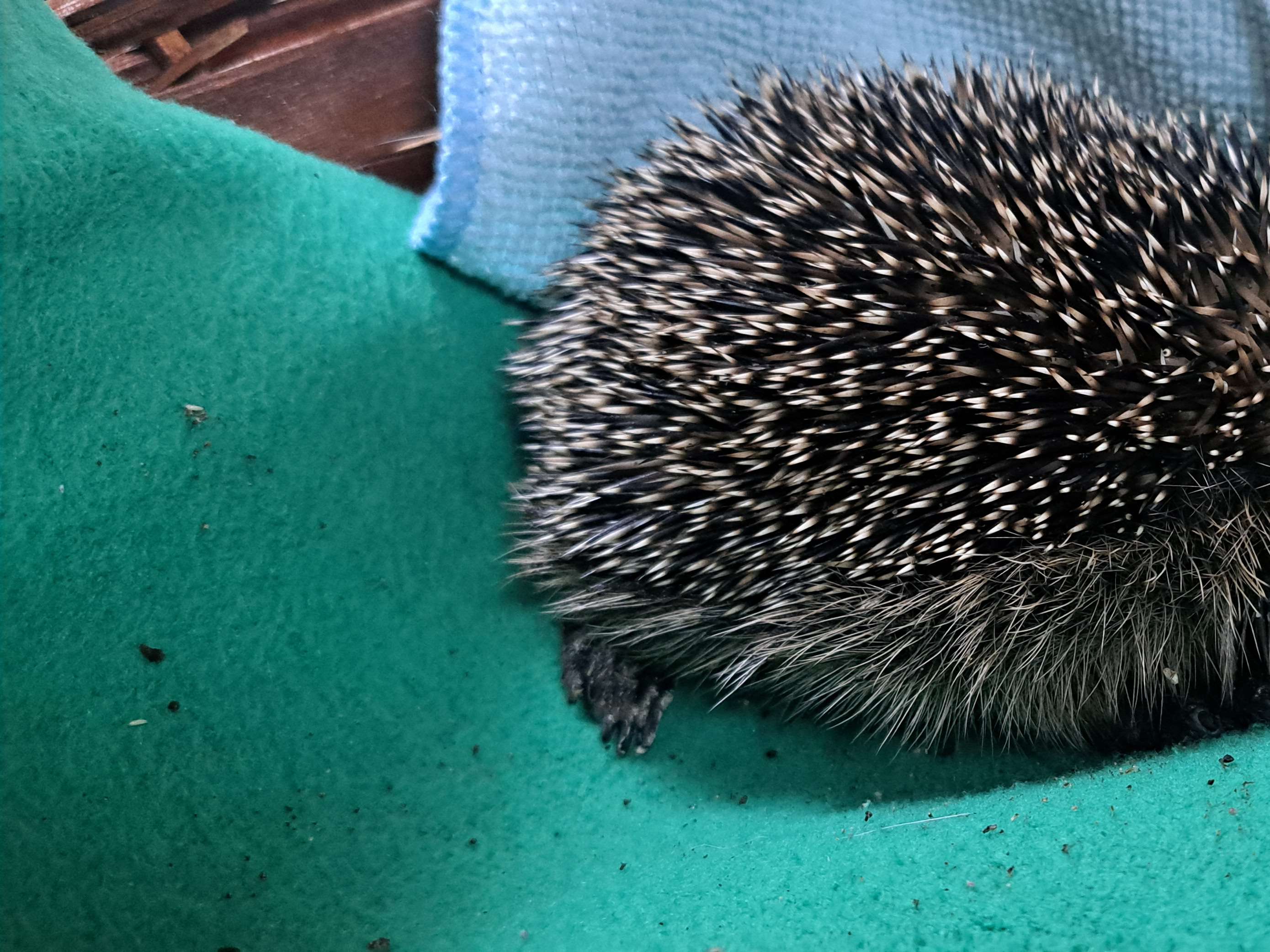 Ansicht 2 von Tierarztpraxis Rafael