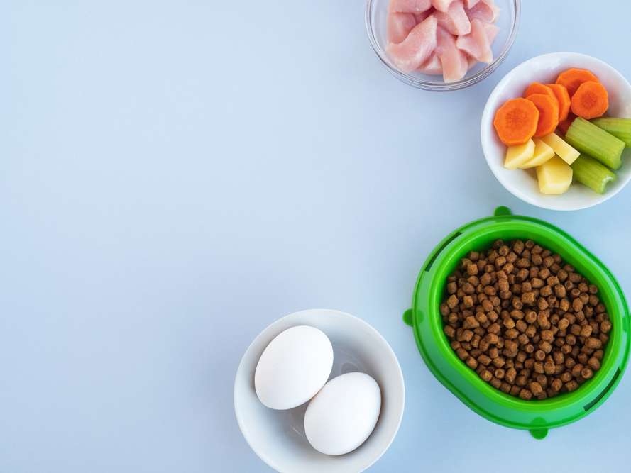 Ansicht 3 von Tierärztliche Ernährungsberatung