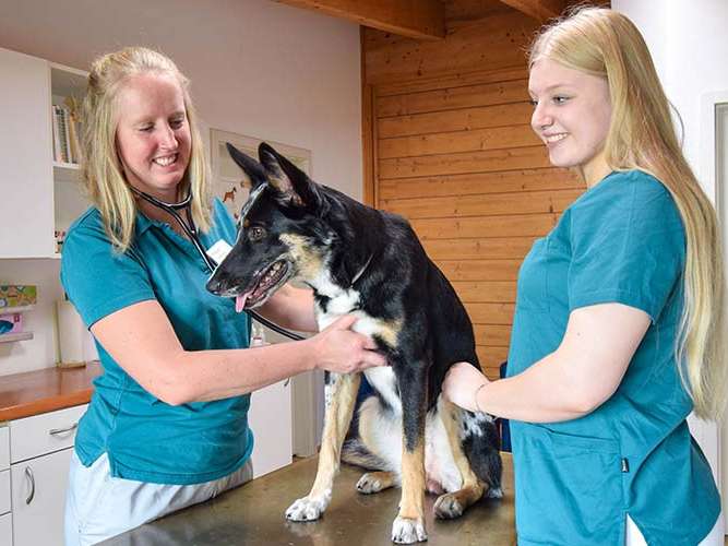 Ansicht 2 von Zentrum für ganzheitliche Tiergesundheit, Tierarzt Gevelsberg
