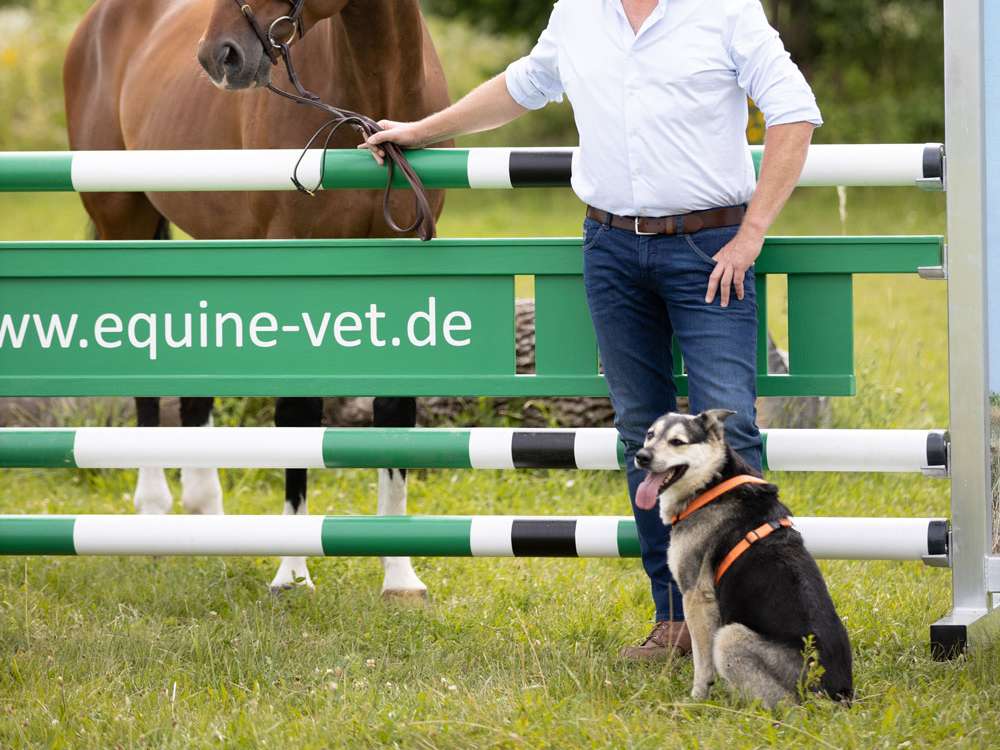 View 1 of Dr. med. vet. Claudius Krieg • equine-vet • Fachtierarzt für Pferde