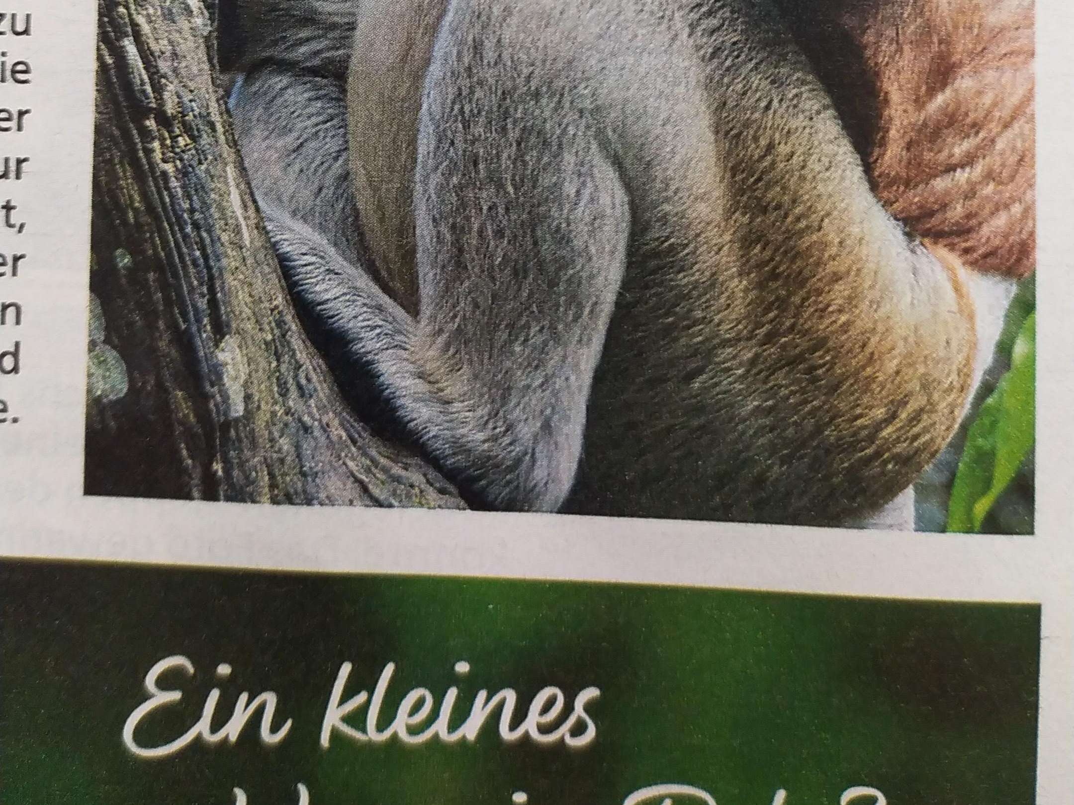 Ansicht 2 von Tierarztpraxis Astrid Pauly