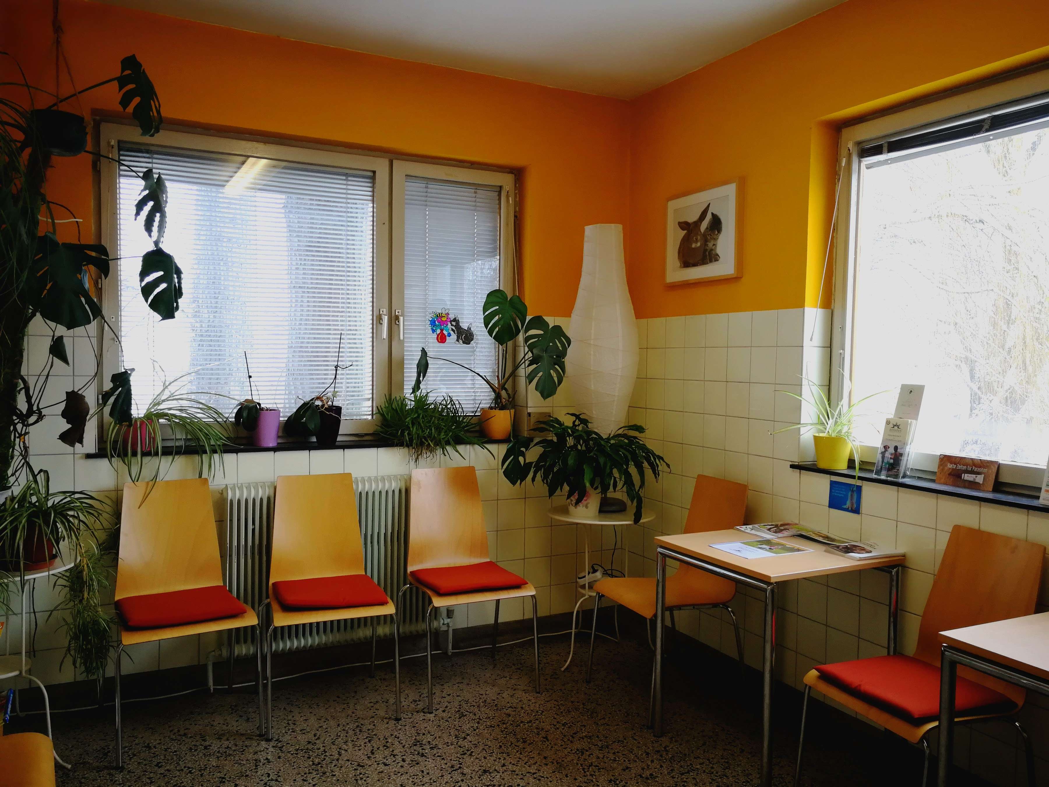 View 2 of Tierklinik Wien-Süd - Dr. Weis und Team