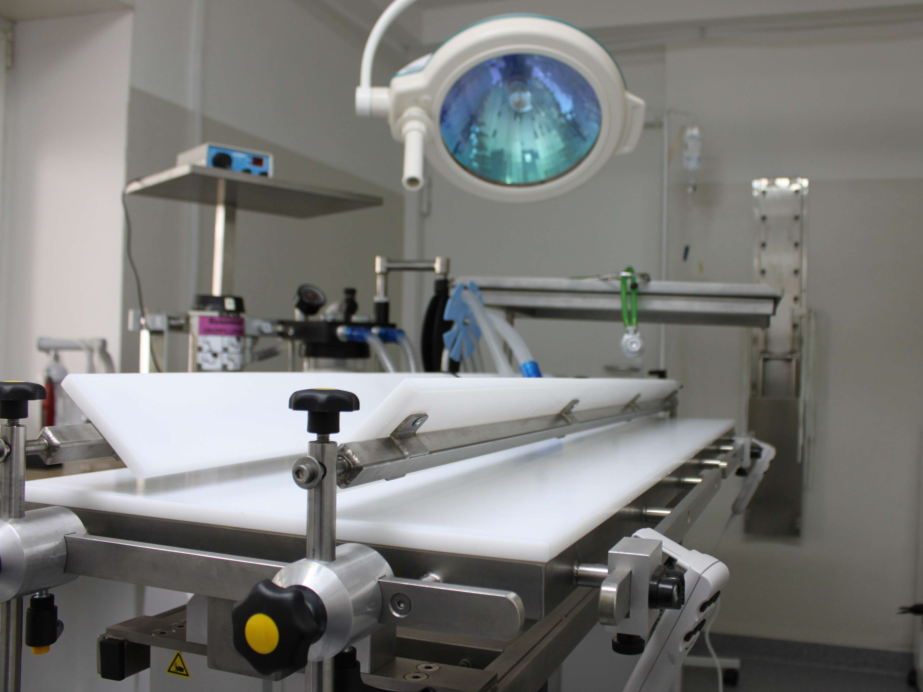 Ansicht 2 von Tierarzt Dr. Dietrich Mock