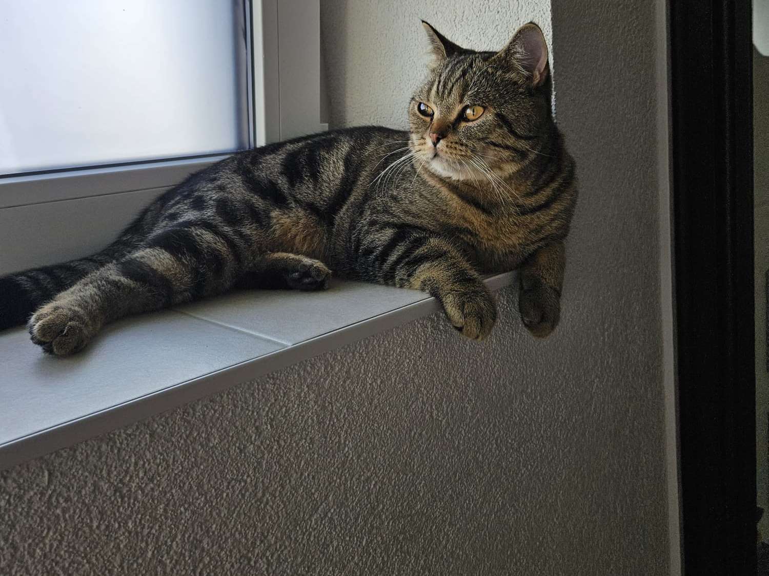 Ansicht 2 von Tierärztliche Gemeinschaftspraxis Knochendöppel & Weih