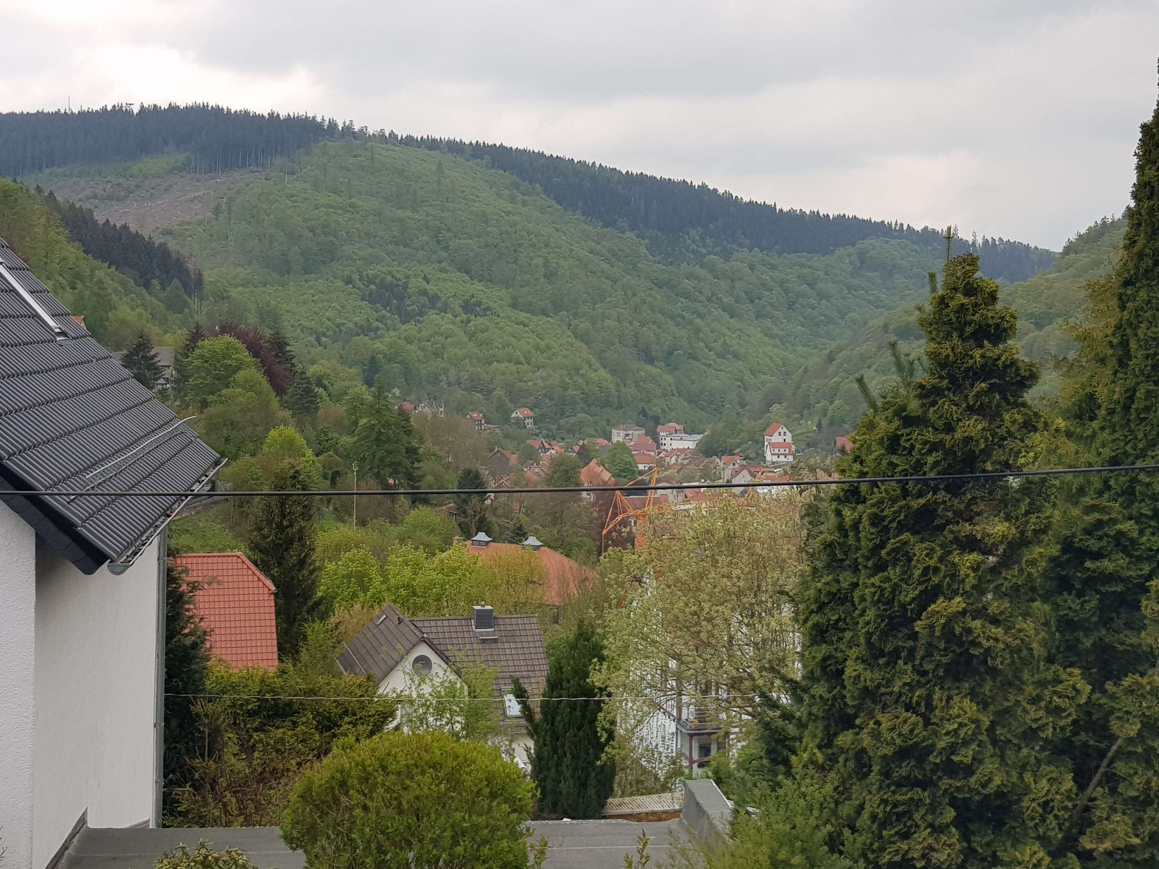 Ansicht 1 von Corinett Gössel Tierärztin