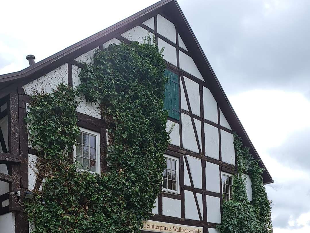 Ansicht 2 von Kleintierpraxis Walbachsmühle