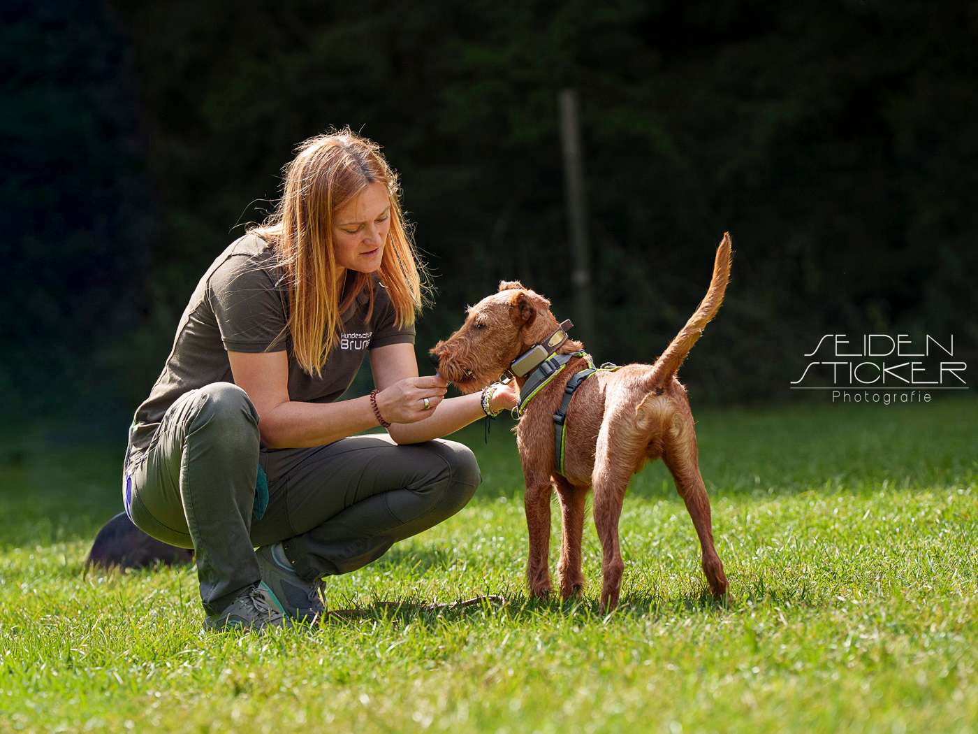 Ansicht 1 von Hundeschule & Praxis für Verhaltensmedizin Dr. Sandra Bruns