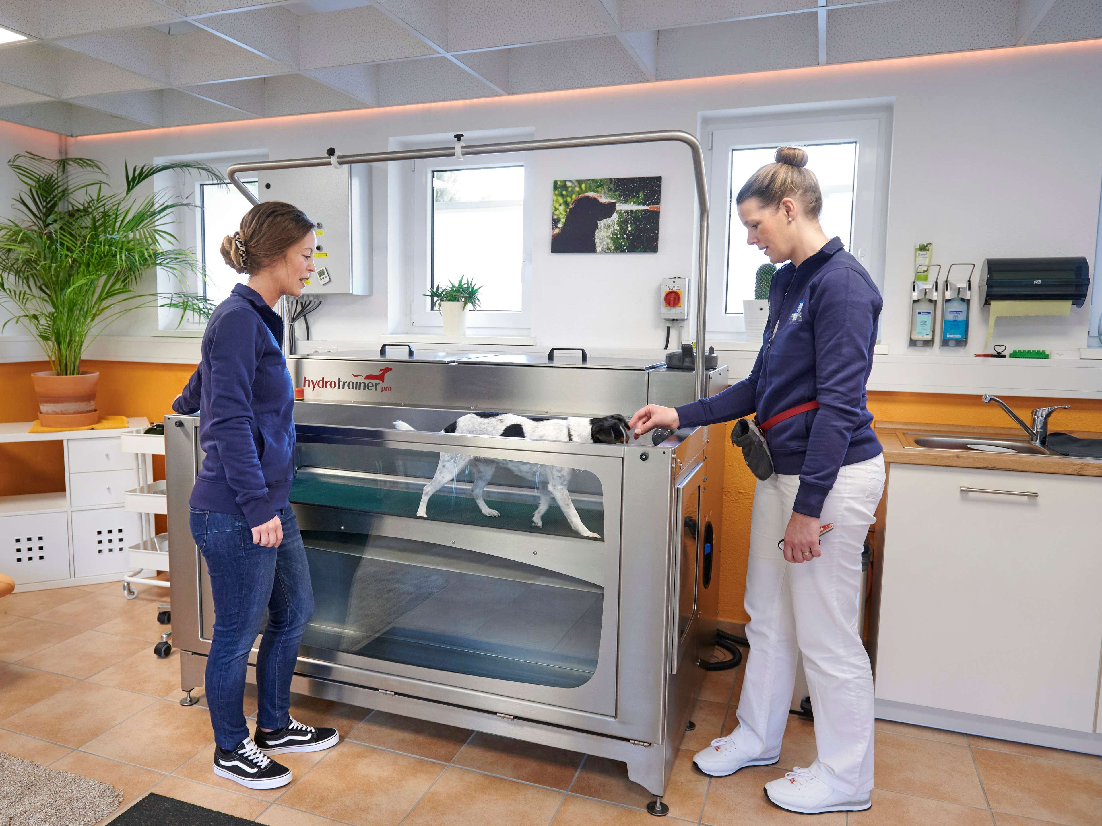 Ansicht 3 von Tierärztliche Praxis Neuhäusel Tierärztin Nina Koch