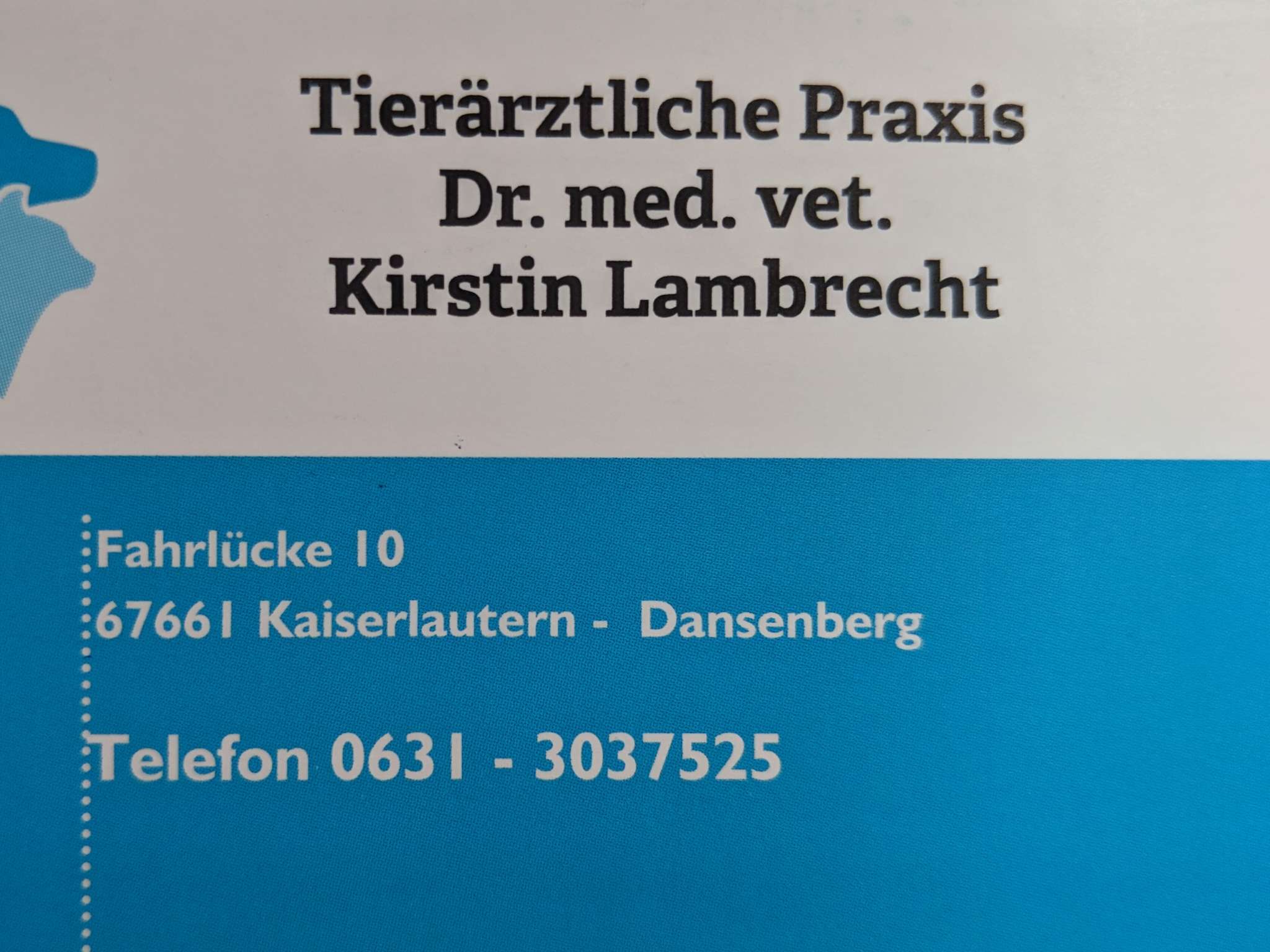 View 1 of Dr. med. vet. Kirstin Lambrecht