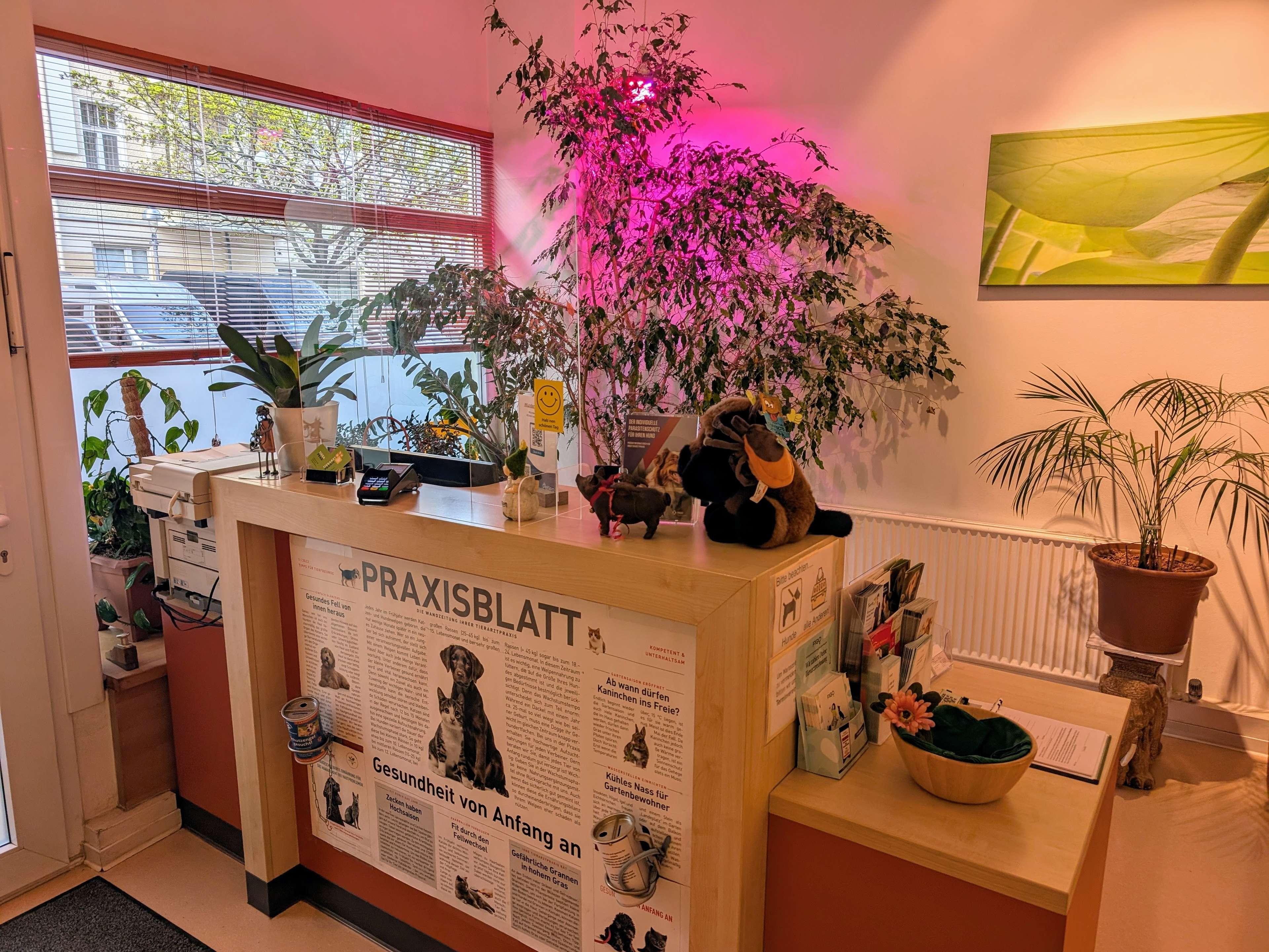 Ansicht 3 von Tierarztpraxis Dr. Miriam Oczipka