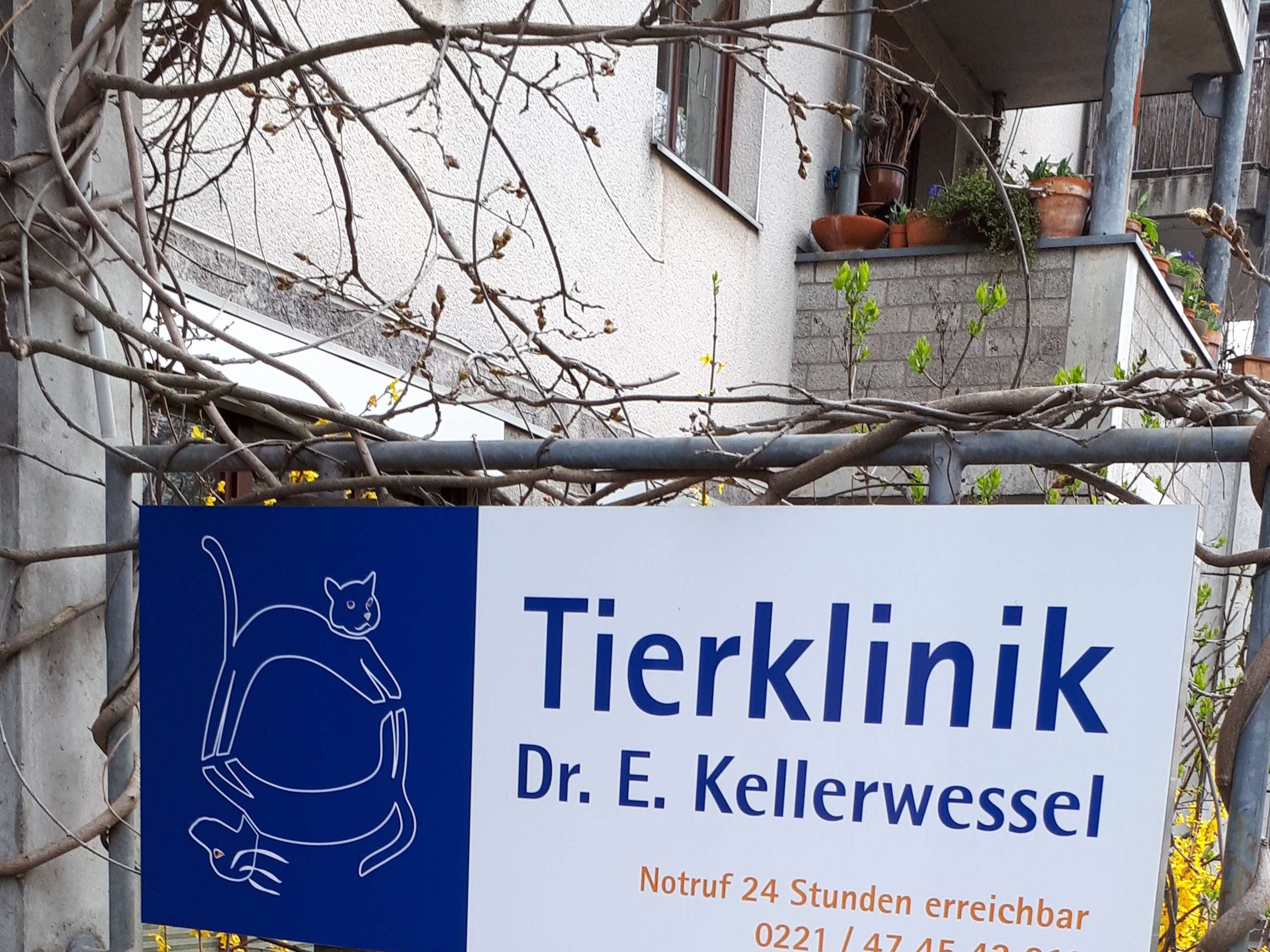 Ansicht 2 von Tierklinik Kellerwessel in Köln - Tierärztliche Klinik mit 24h Notdienst