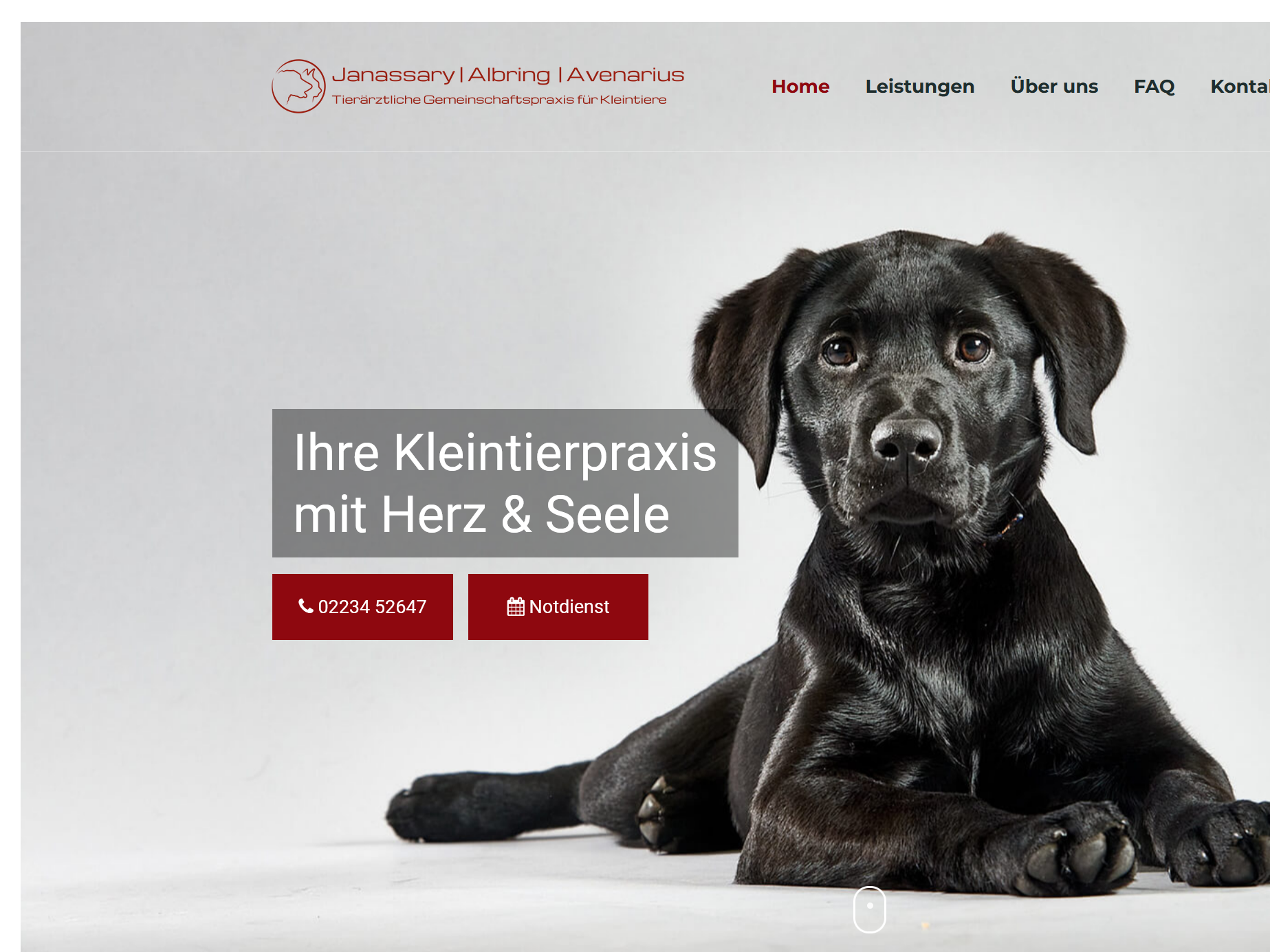 Ansicht 1 von Tierärztliche Gemeinschaftspraxis für Kleintiere Janassary Albring Dr. Avenarius