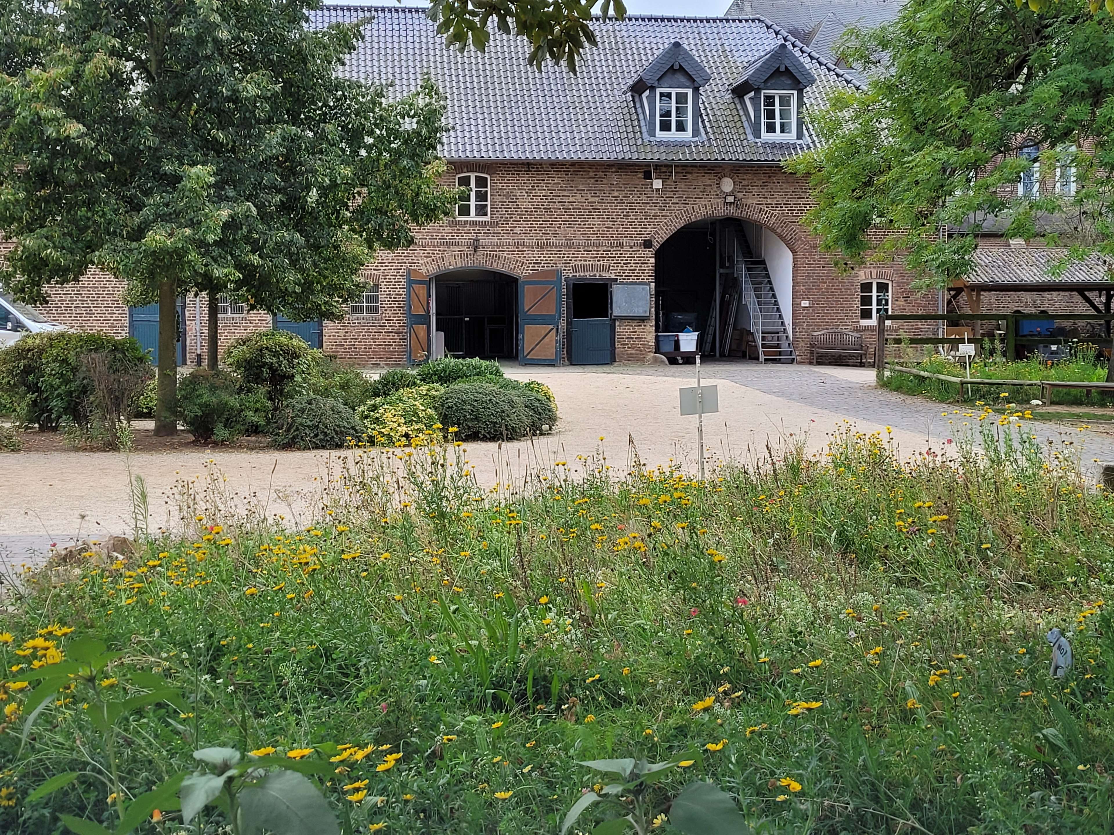 Ansicht 2 von Pferdeklinik Burg Müggenhausen
